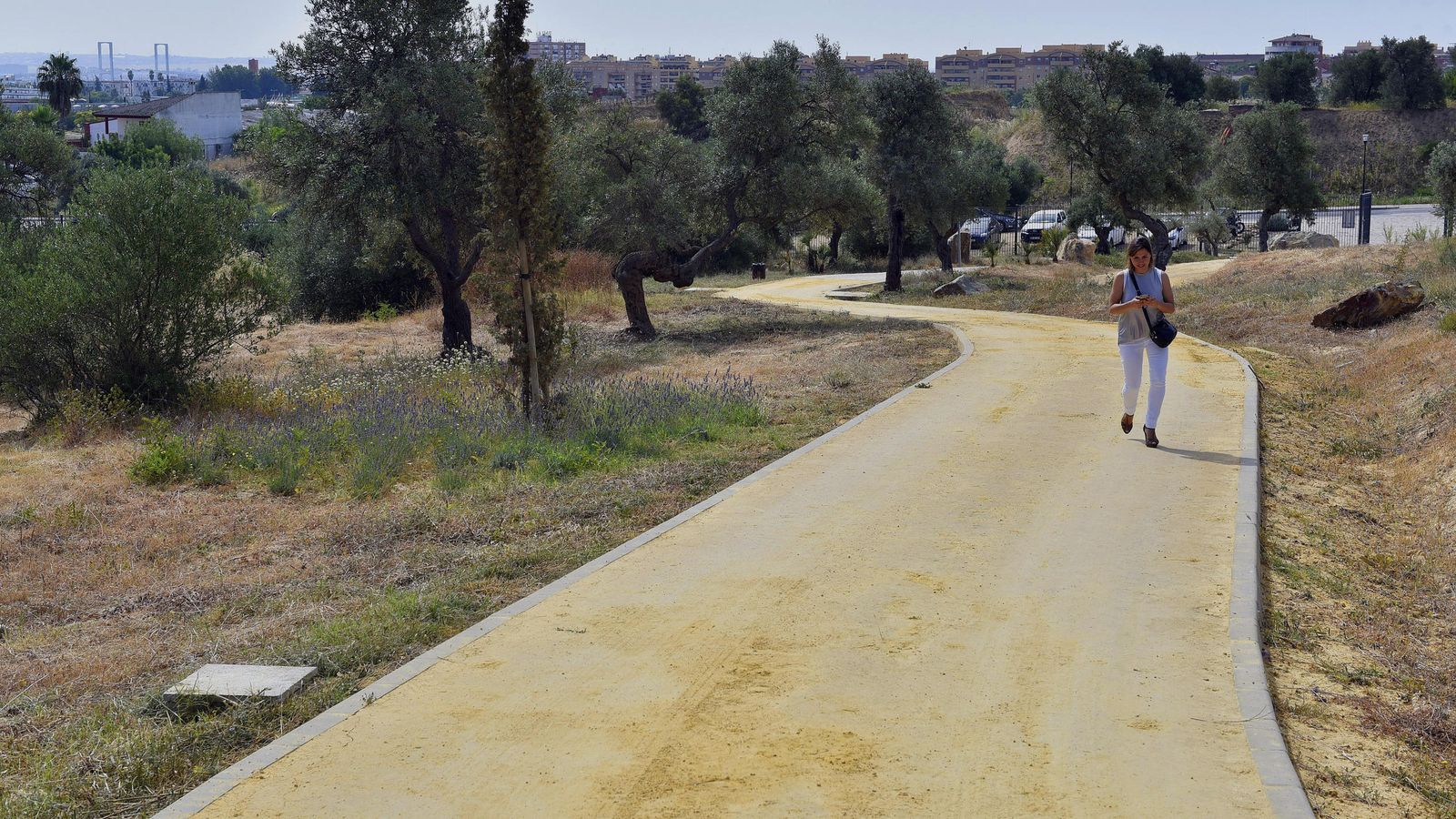 Uno de los caminos de albero con los que cuenta el nuevo parque.
