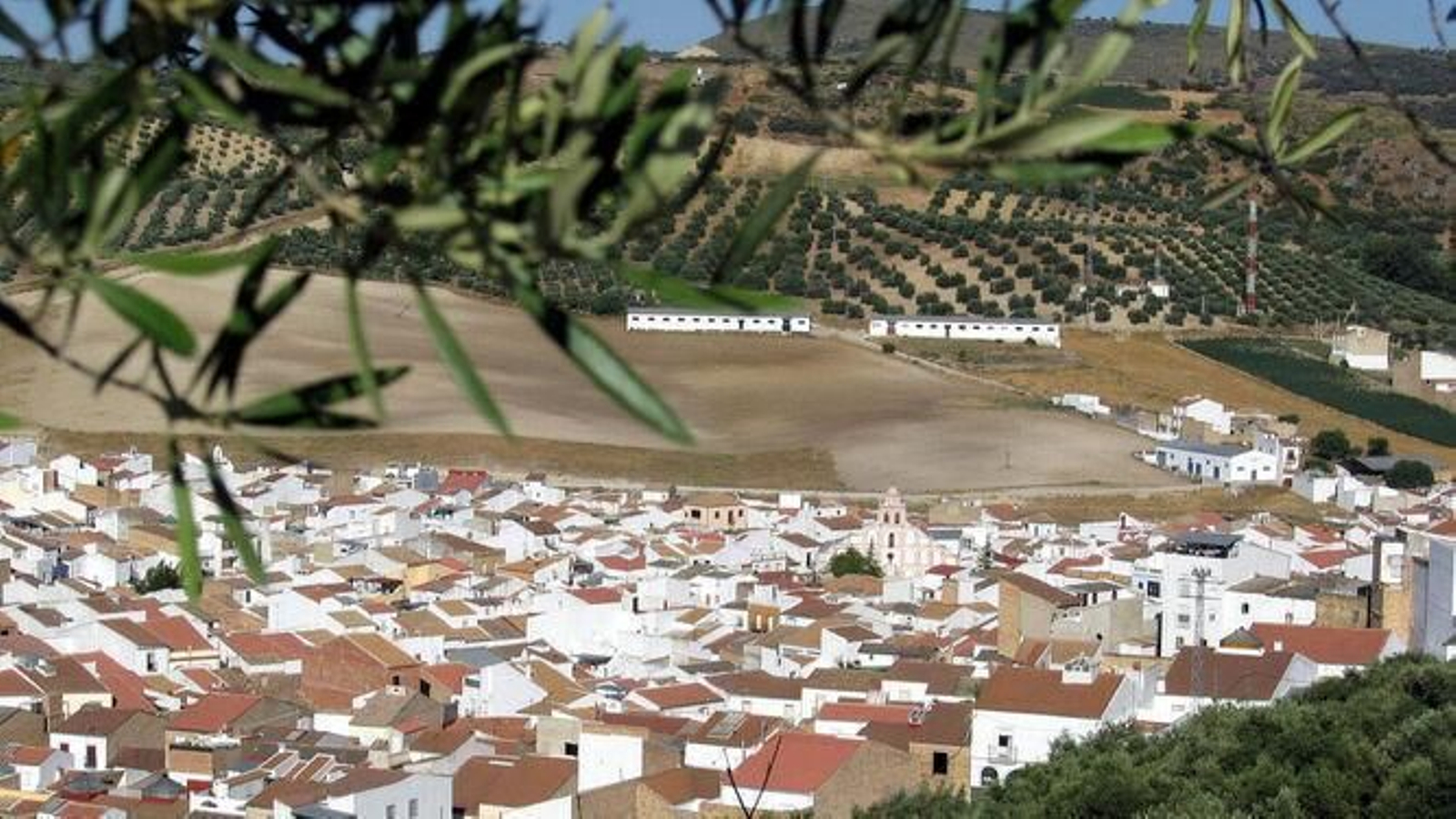 Una panorámica de Alcalá del Valle