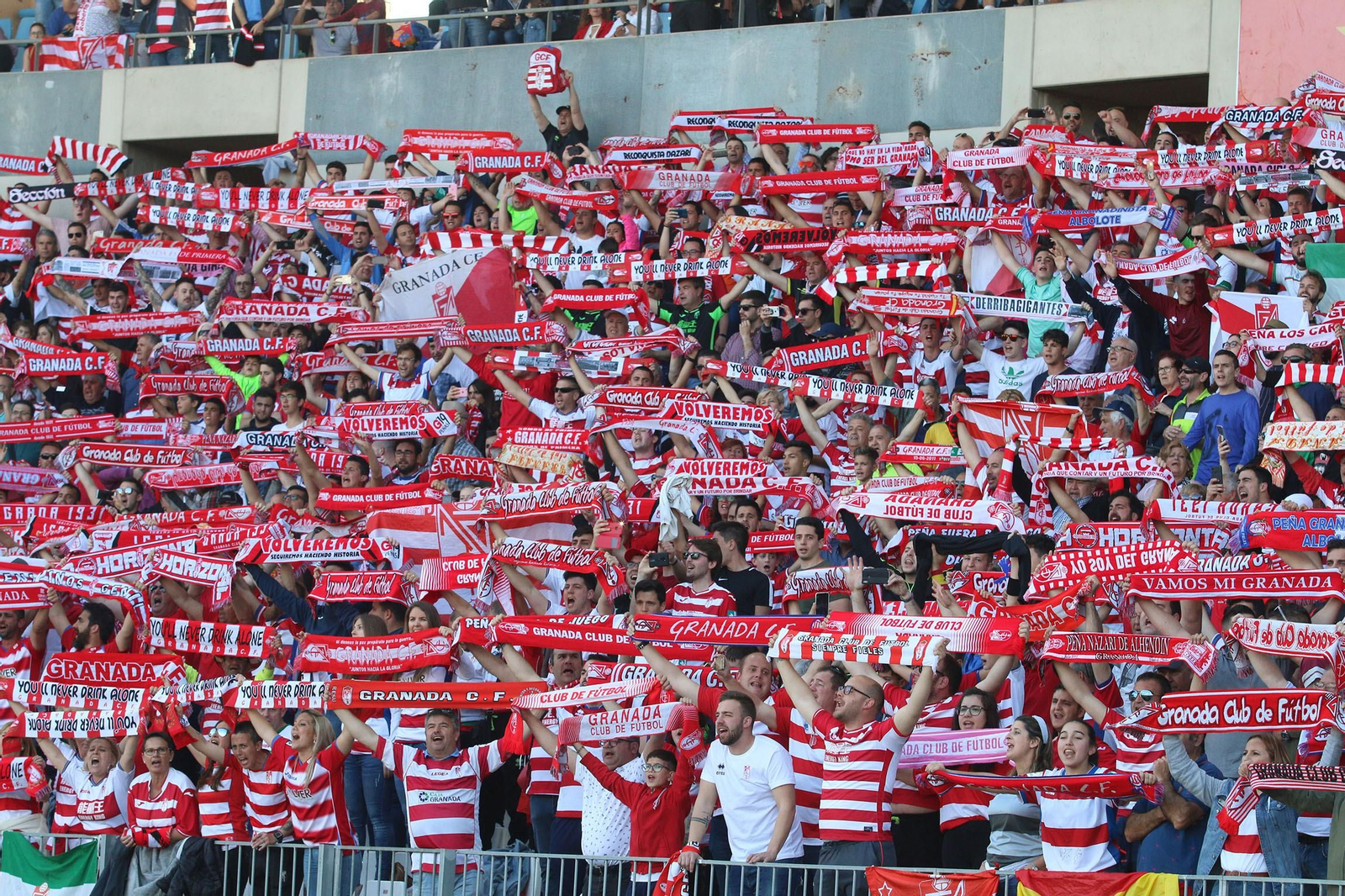 Fotogalería del Almería-Granada