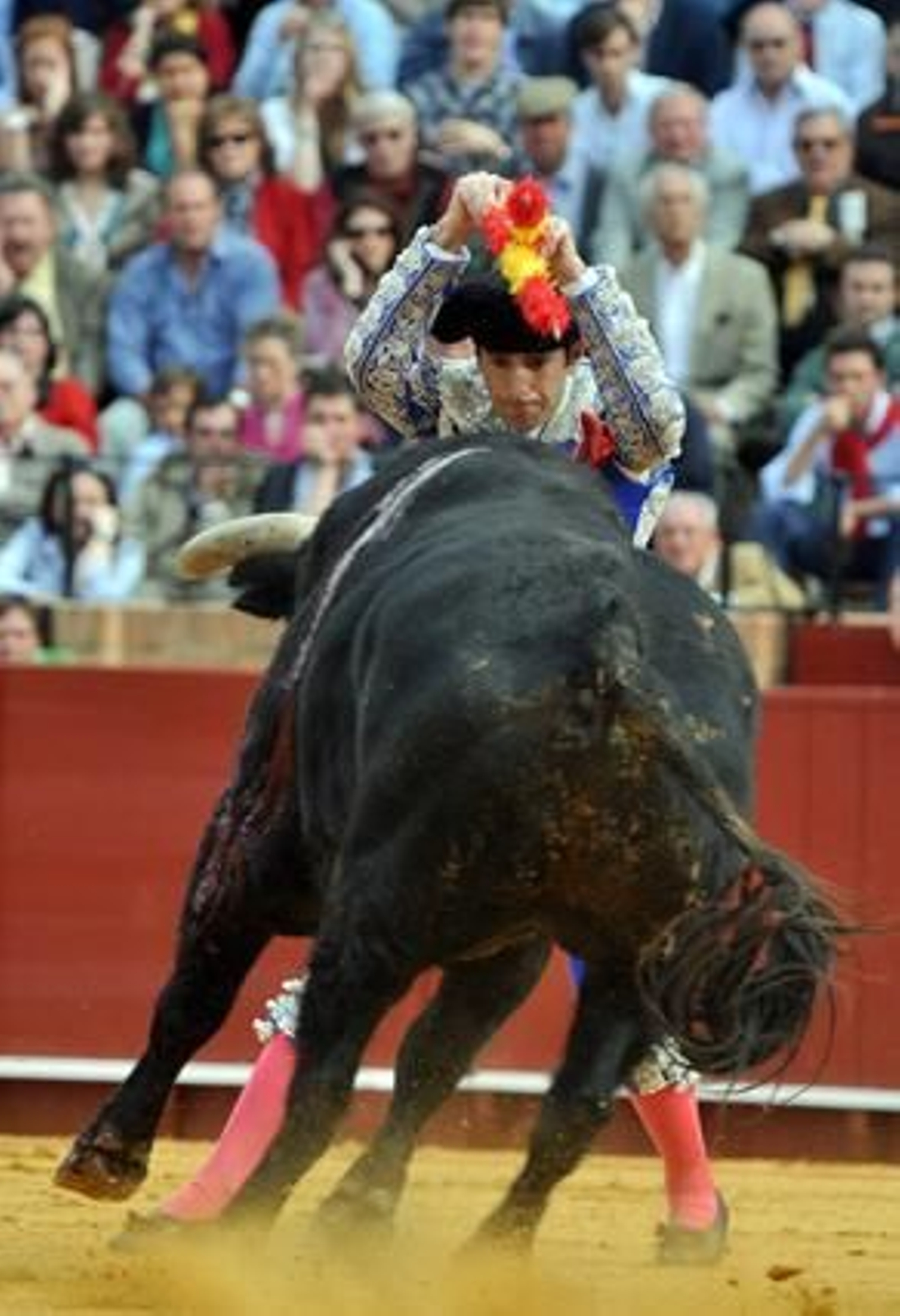 Una tarde emotiva de brindis