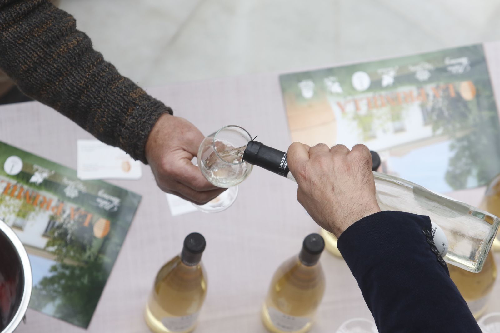 La presentación en sociedad de los vinos nuevos de Moriles y Montilla, en imágenes