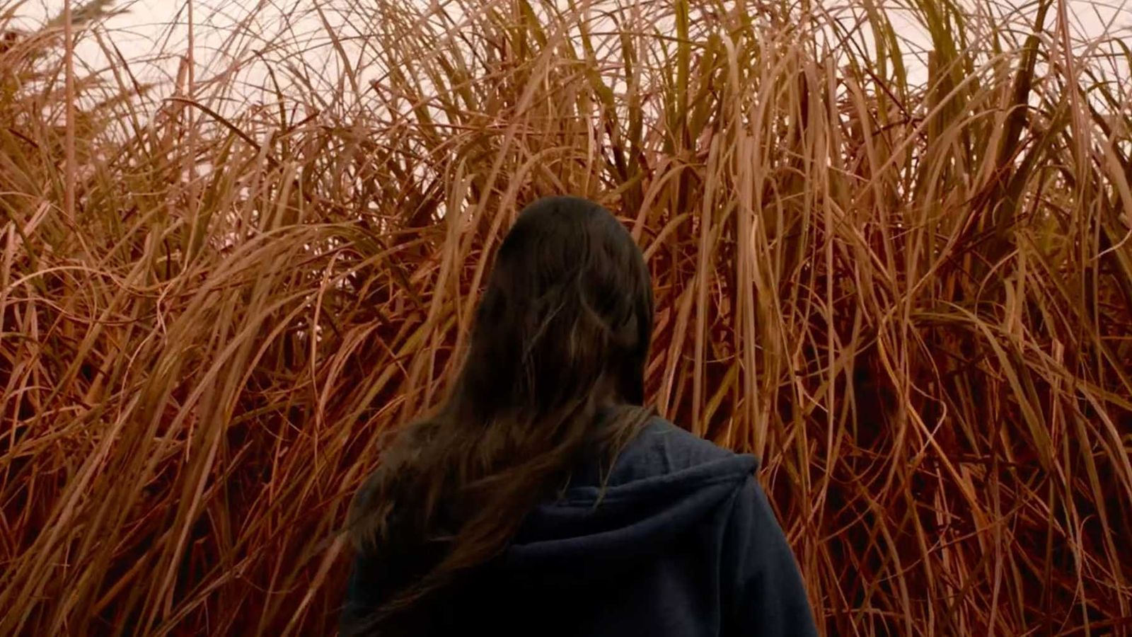 El laberinto interior, en el debut de Claire Oakley.