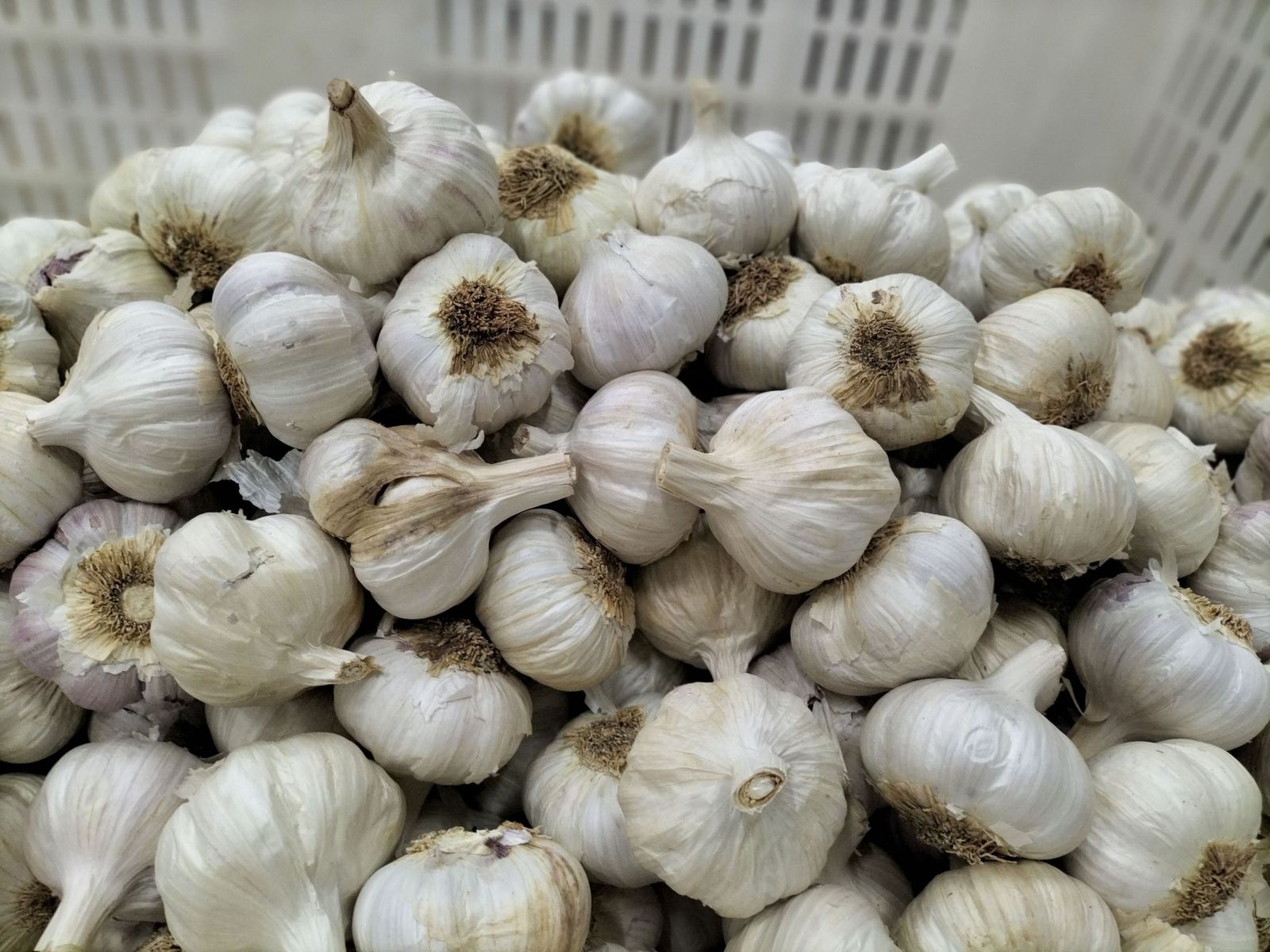 Los compuestos dialil sulfurados, ricos en azufre, están presentes en ajos , cebollas y puerros.