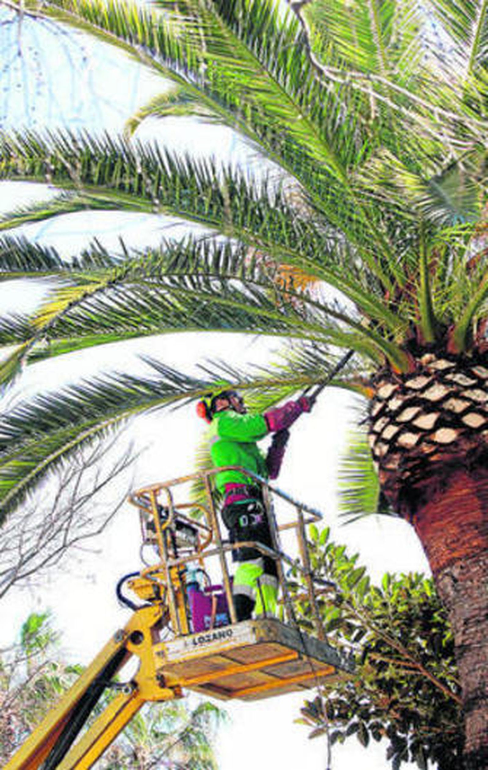 Maquinaria trabajando ayer en el Parque de Málaga.