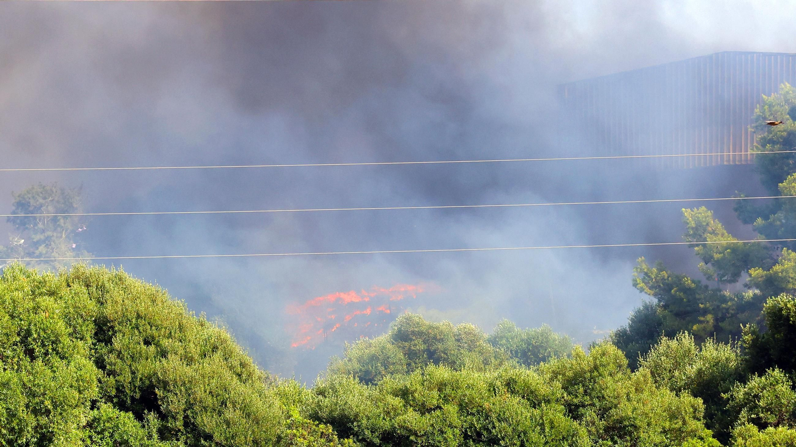 Imágenes del incendio en la planta de Las Calandrias en Jerez