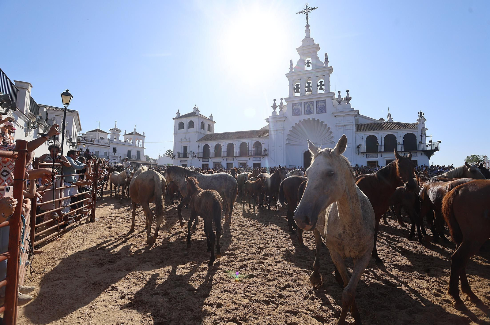 Las mejores imágenes de la Saca de las Yeguas 2025