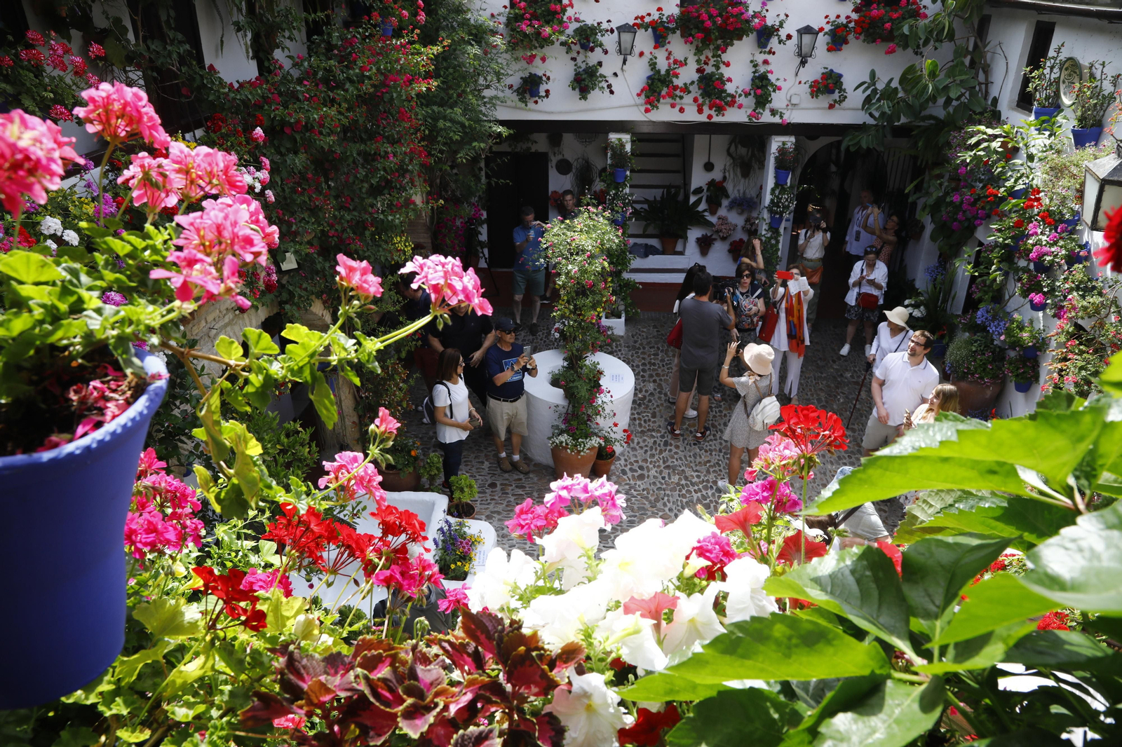El primer día de Patios en Córdoba, en imágenes El primer día de Patios en Córdoba, en imágenes