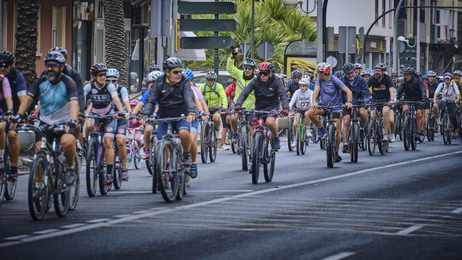 Bicefestación celebrada el pasado año 2024