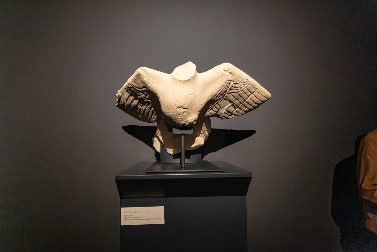 Presentación de la Exposición Seres de Ultratumba