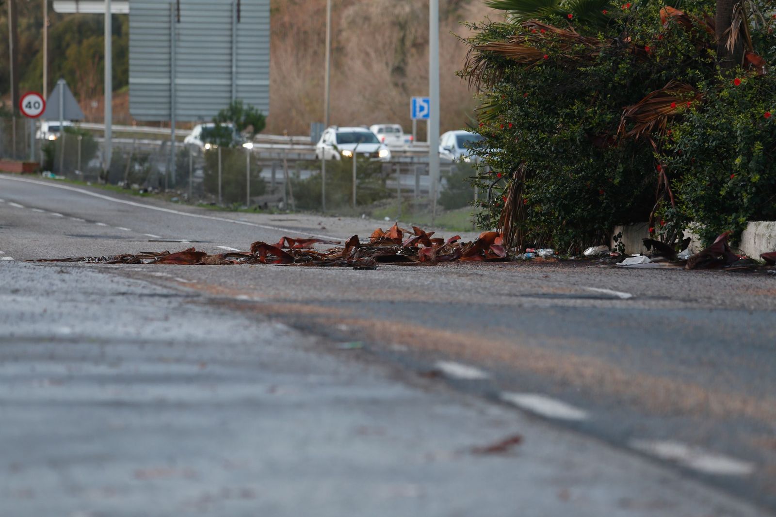 Las fotografías de Guadarcote, el río Guadarranque y la Estación de San Roque tras el paso de la borrasca Francis