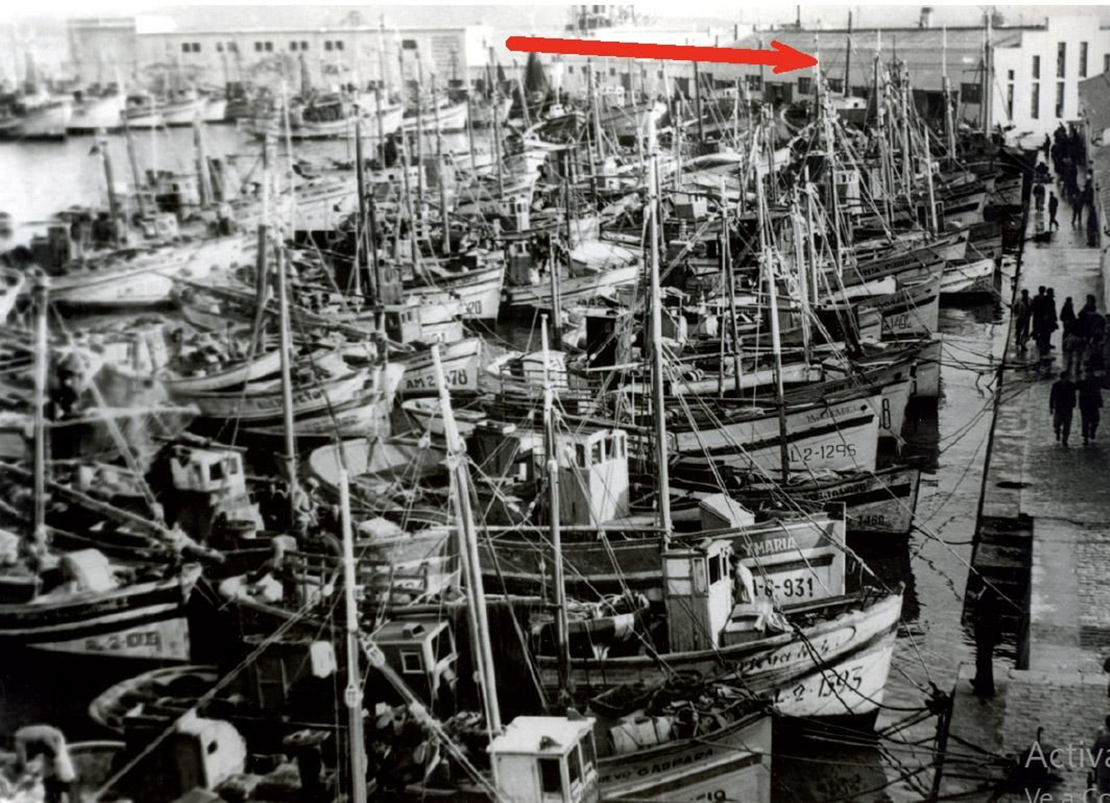 Barcos de pesca atracados en la dársena pesquera en el año 1960. Señalada con una flecha la primera lonja que hubo en el puerto de Algeciras, construida entre 1941 y 1946, fuera de uso. Barcos de pesca atracados en la dársena pesquera en el año 1960. Señalada con una flecha la primera lonja que hubo en el puerto de Algeciras, construida entre 1941 y 1946, fuera de uso.