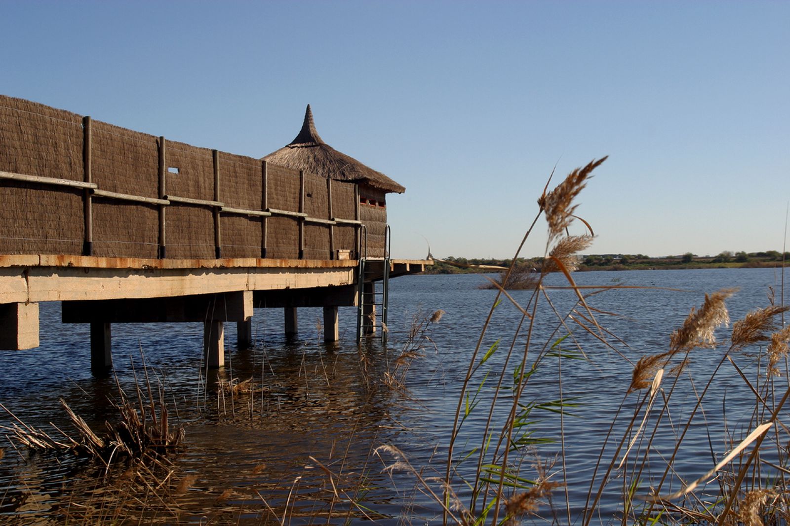 Laguna Primera de Palos.