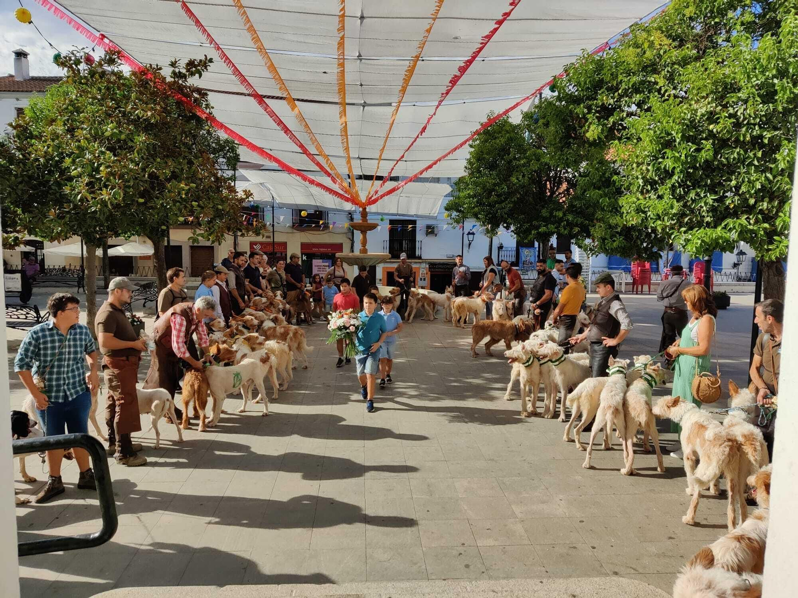 La XX concentración de rehalas de Villaviciosa de Córdoba, en imágenes