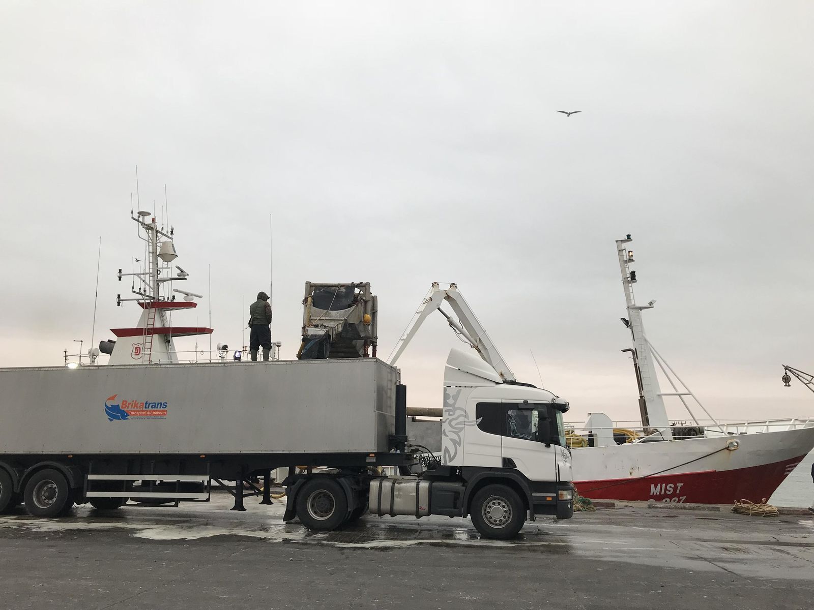 Un camión frigorífico recibe carga pesquera en el puerto de Dahkla, en Marruecos.