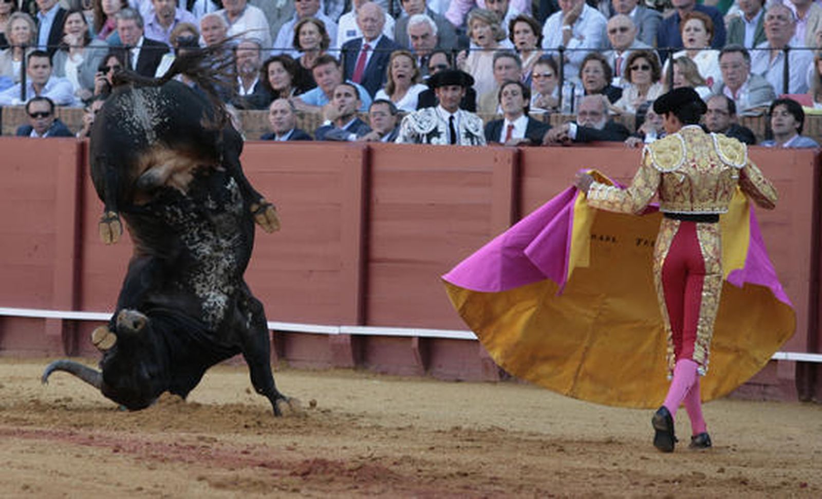 El torero mexicano Israel Téllez, en su debut en España.

Foto: Juan Carlos Muñoz