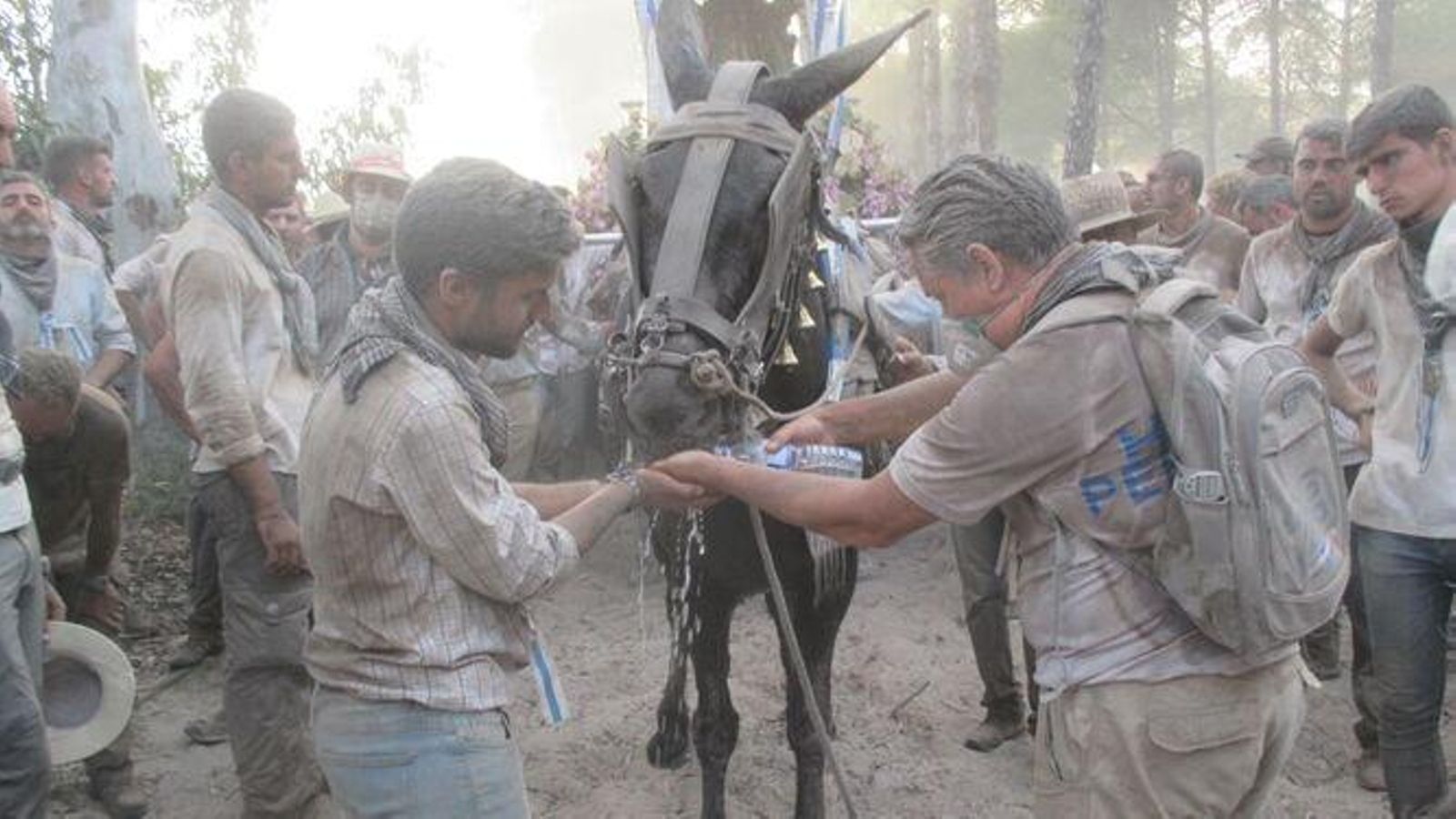 Romeros de la Hermandad de Huelva dan de beber a los caballos en 2019