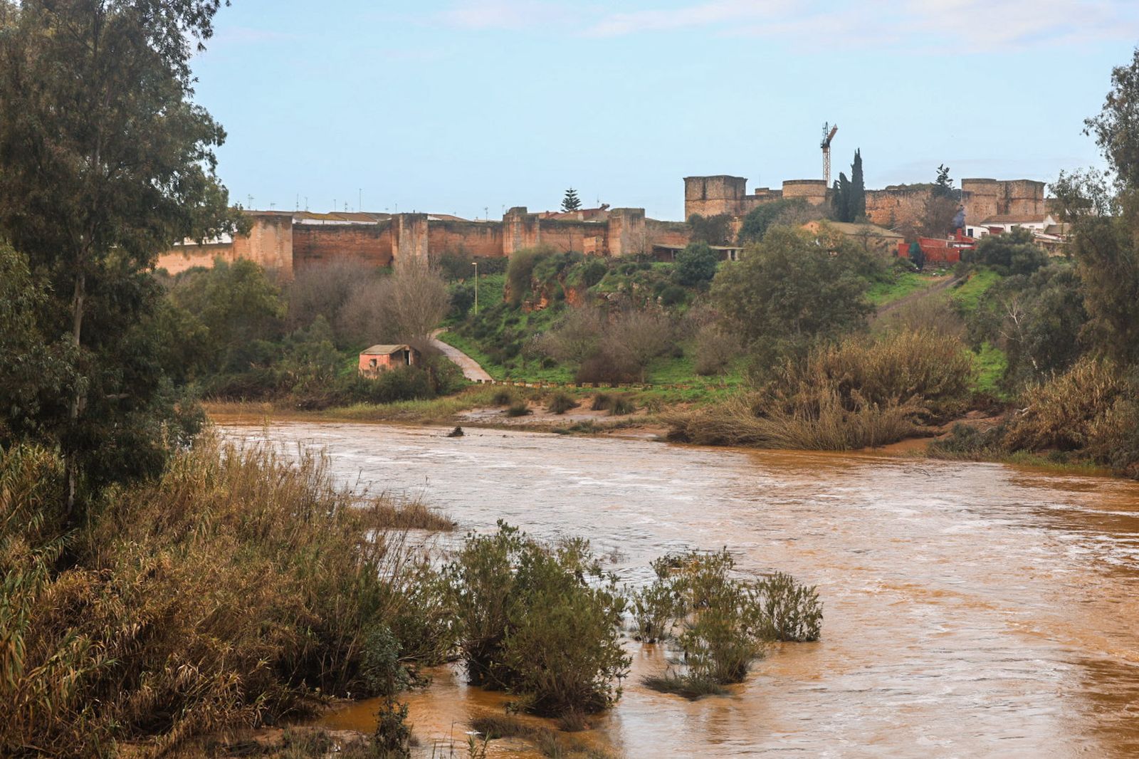 Fotografías del río Tinto a su paso por Niebla