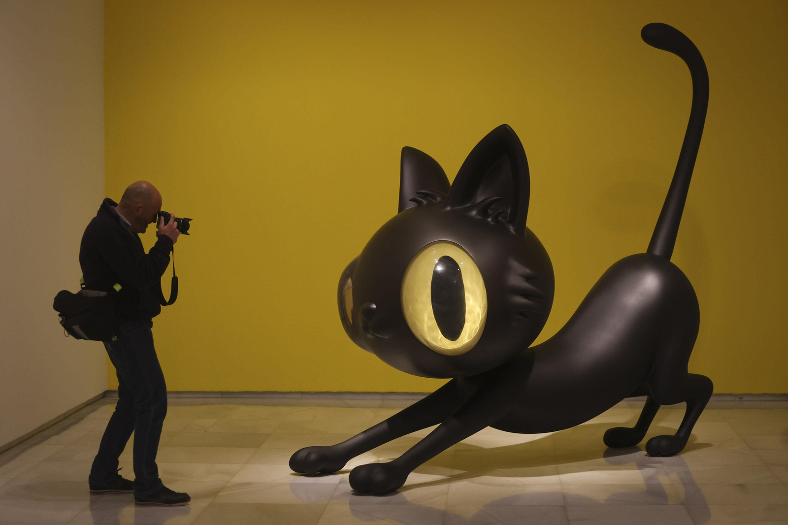 Las fotos de la exposición de Javier Calleja en Málaga y su gato Günter