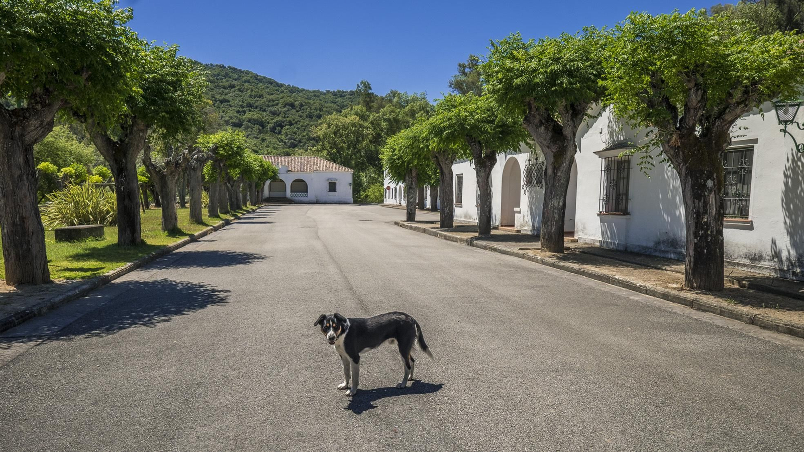 Poblado del pantano de Los Hurones