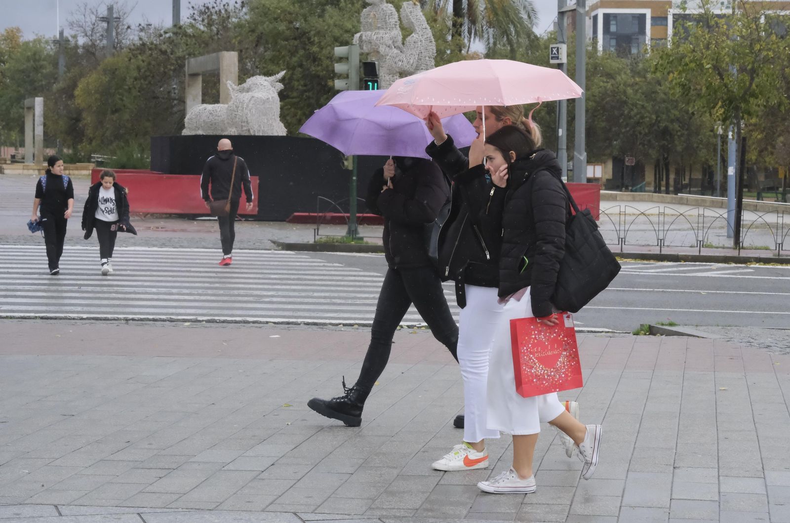 El paso de la borrasca Efraín por Córdoba, en imágenes
