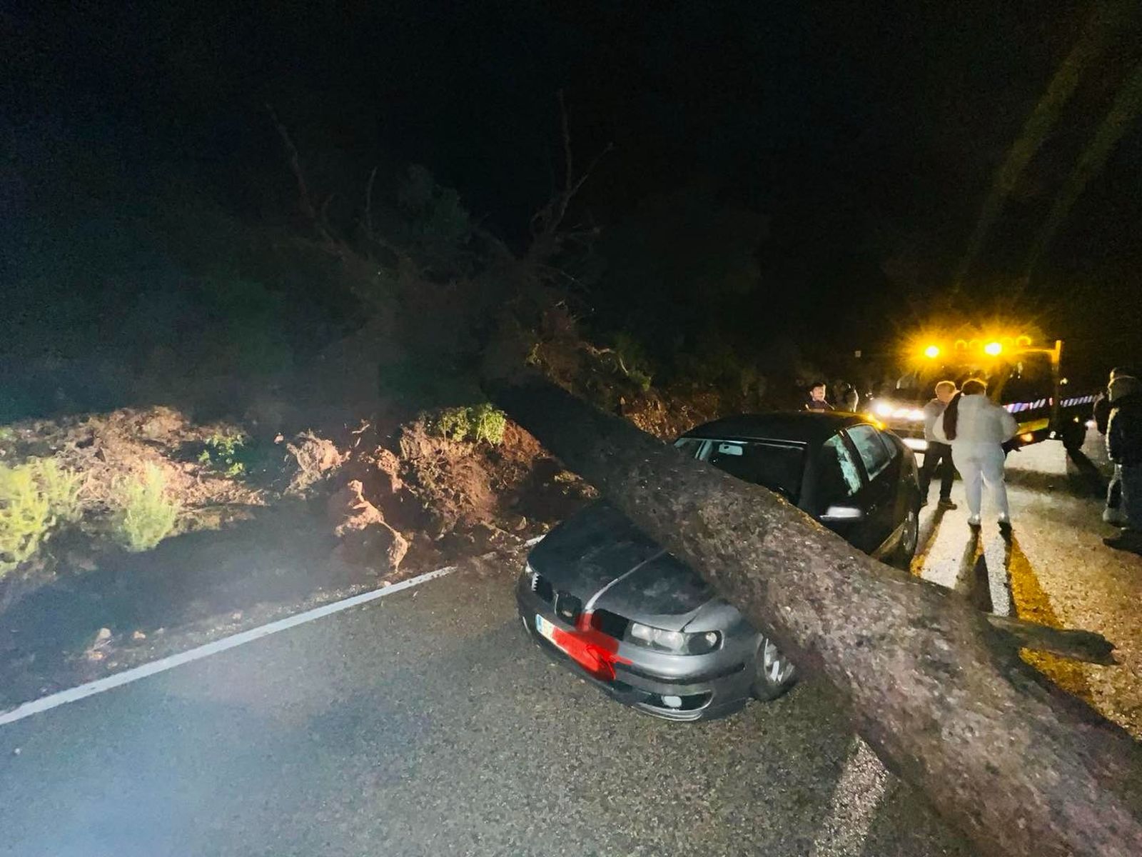 Caída de un pino sobre un turismo en la A-319, termino de Hornos de Segura, zona de El Tranco de Beas.