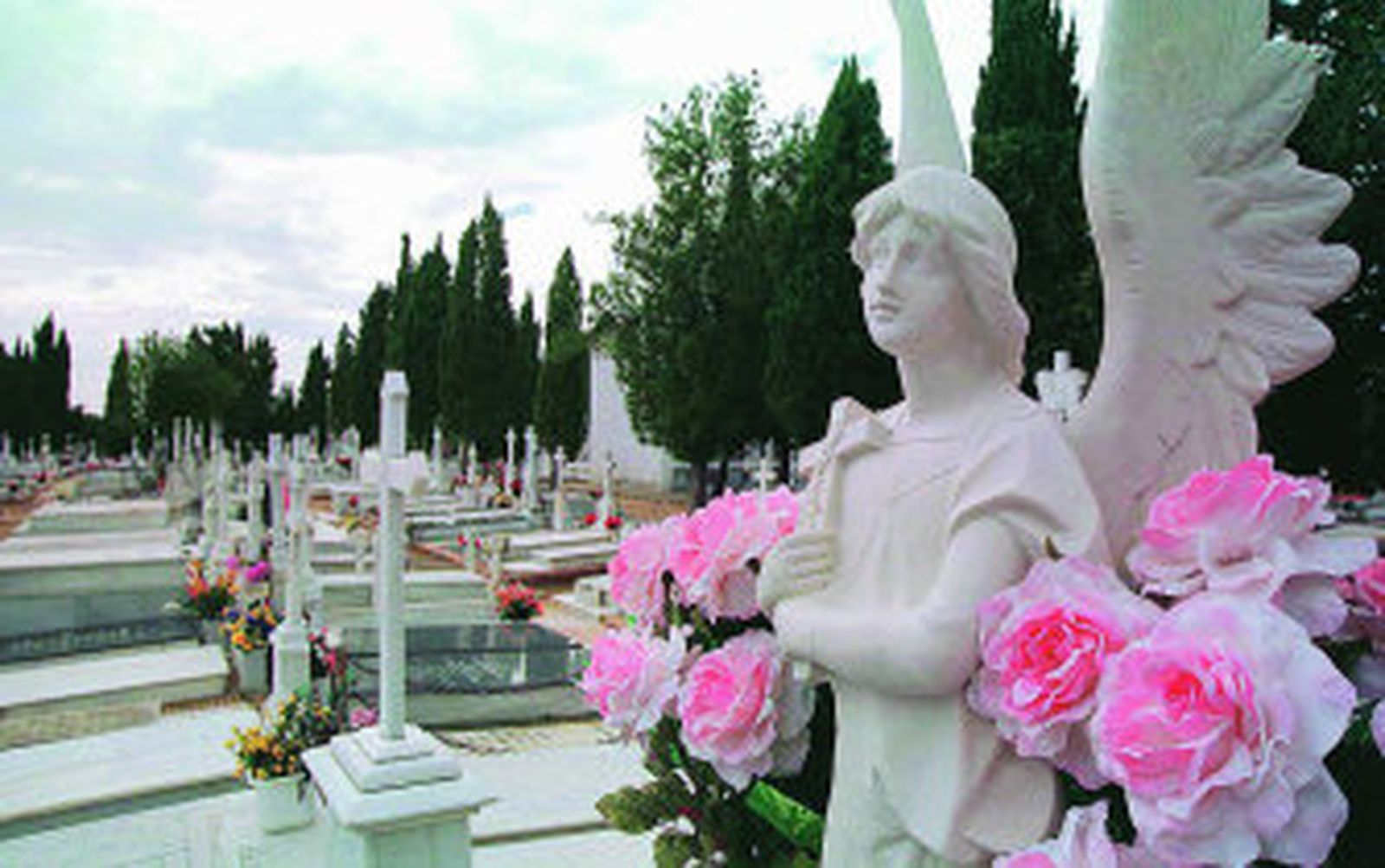 La crisis provoca el reagrupamiento de nichos familiares en uno solo