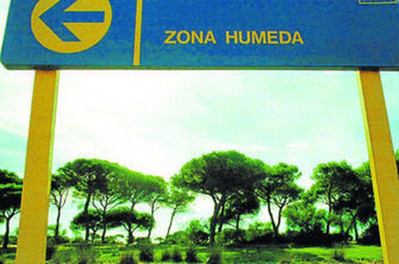 En los humedales de la ciudad es donde se concentran principalmente las larvas de los mosquitos.