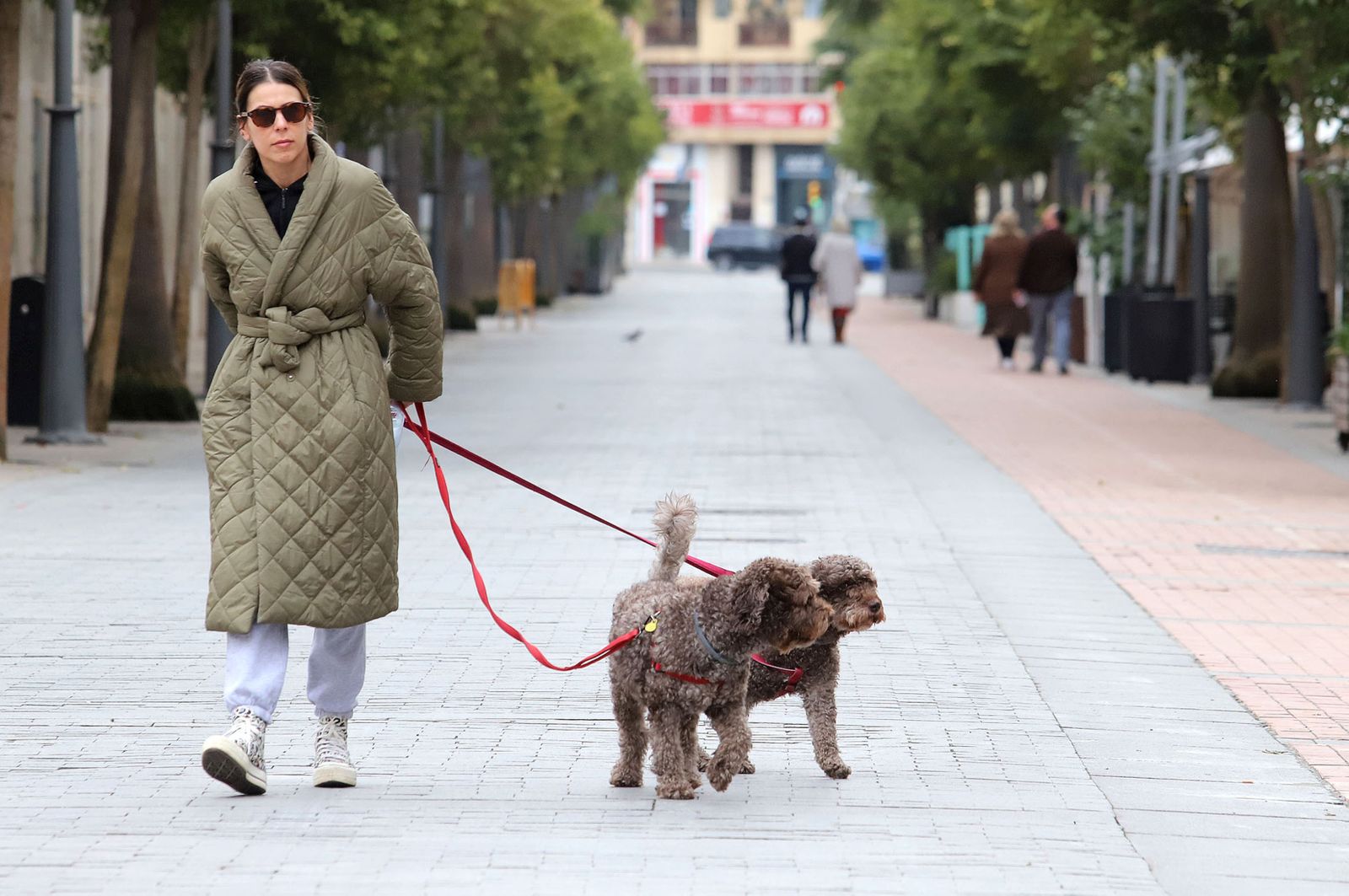 Imágenes del domingo 19 de febrero en Huelva