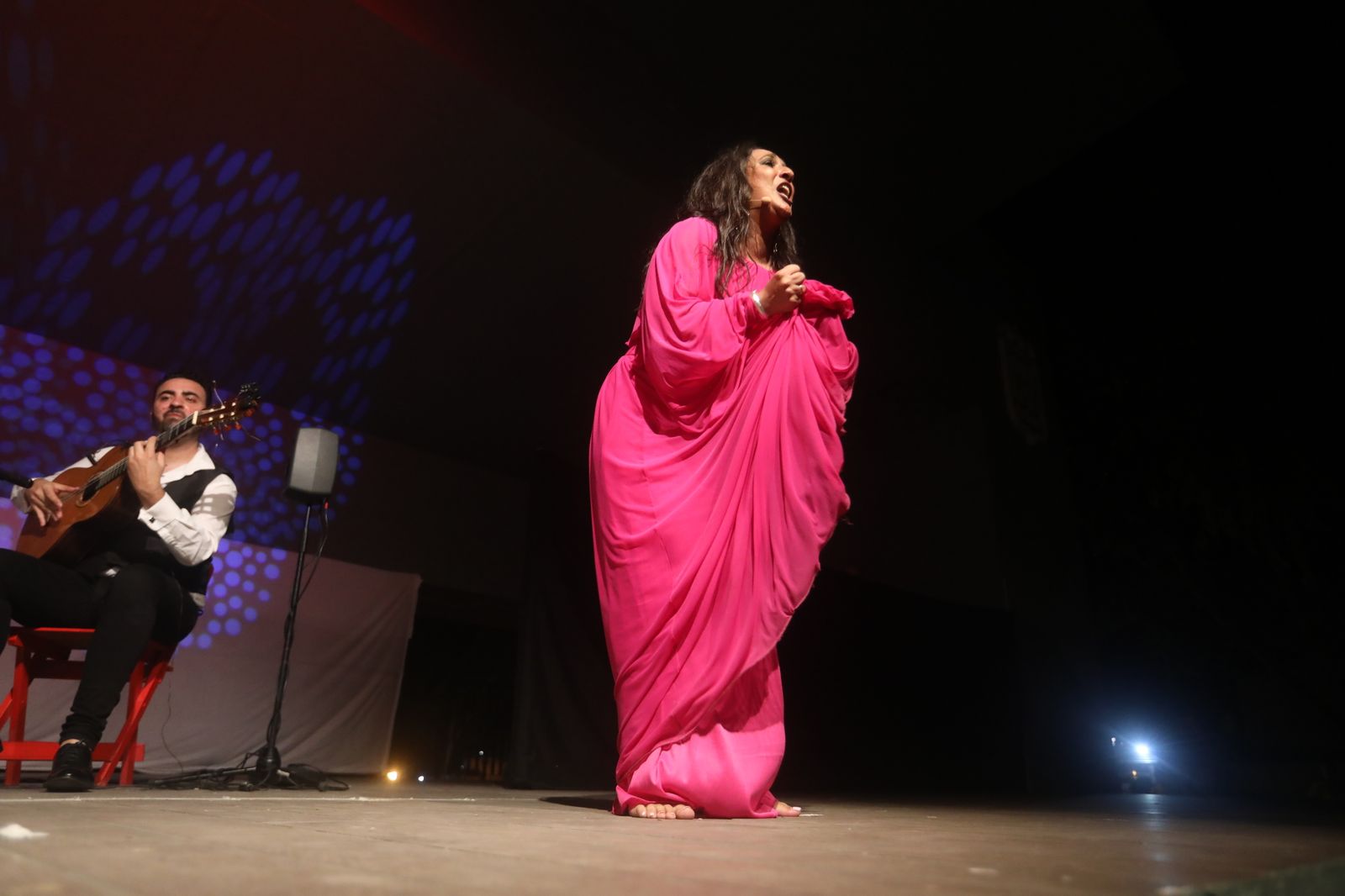 La noche flamenca en el Parque de San Fernando, en imágenes