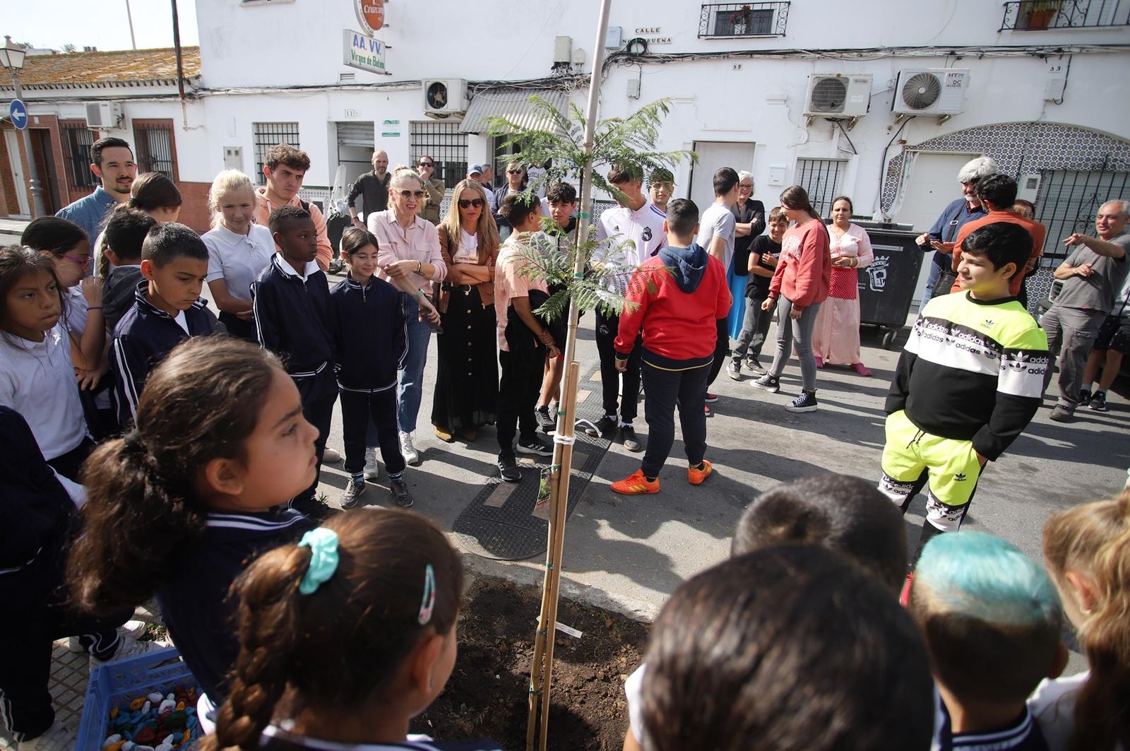 Imágenes la plantación de árboles en la Barriada de la Navidad por alumnos del Colegio Virgen de Belén