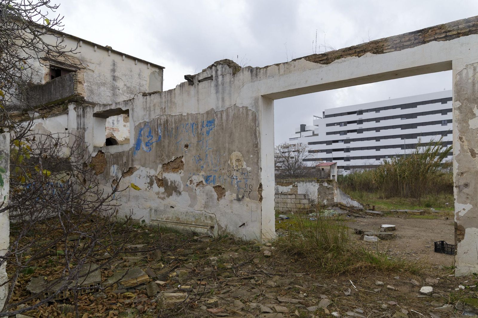 Las fotos del estado de la Hacienda El Rosario