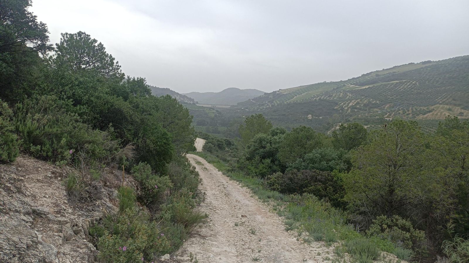 Comenzamos a bajar al valle.