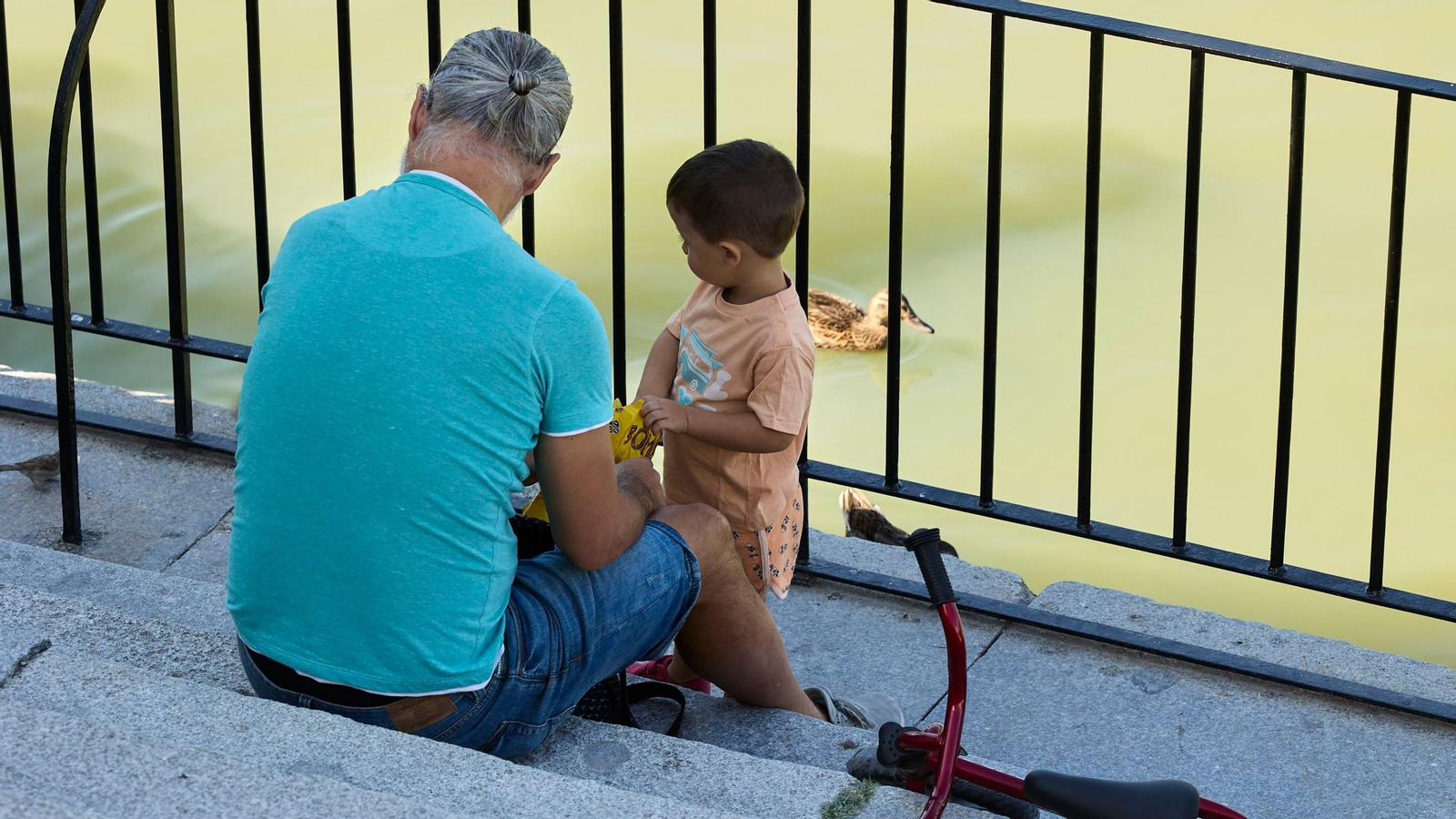 Un padre y su hijo, en un parque.