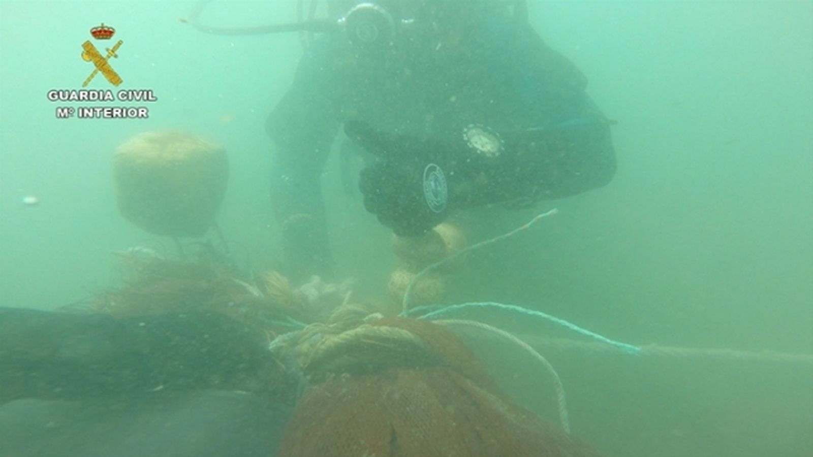 Una de las imágenes que dejó la operación de la Guardia Civil contra la pesca furtiva de inmaduros