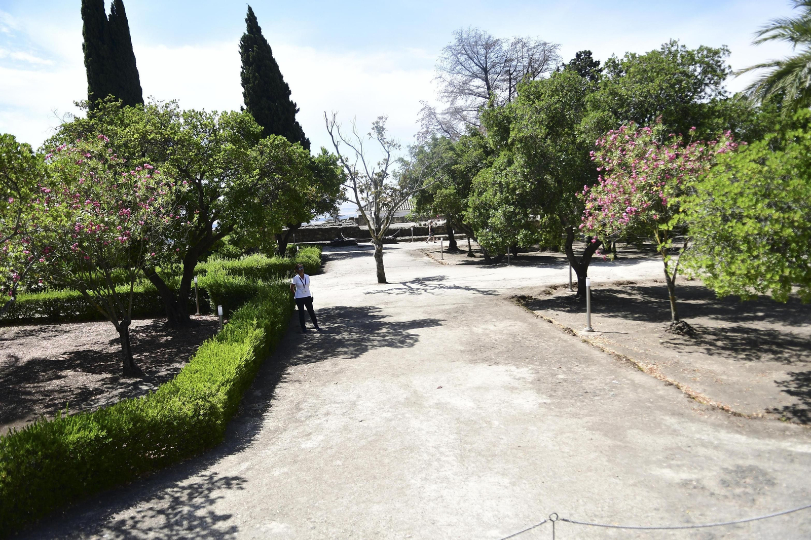 Paseo por Medina Azahara