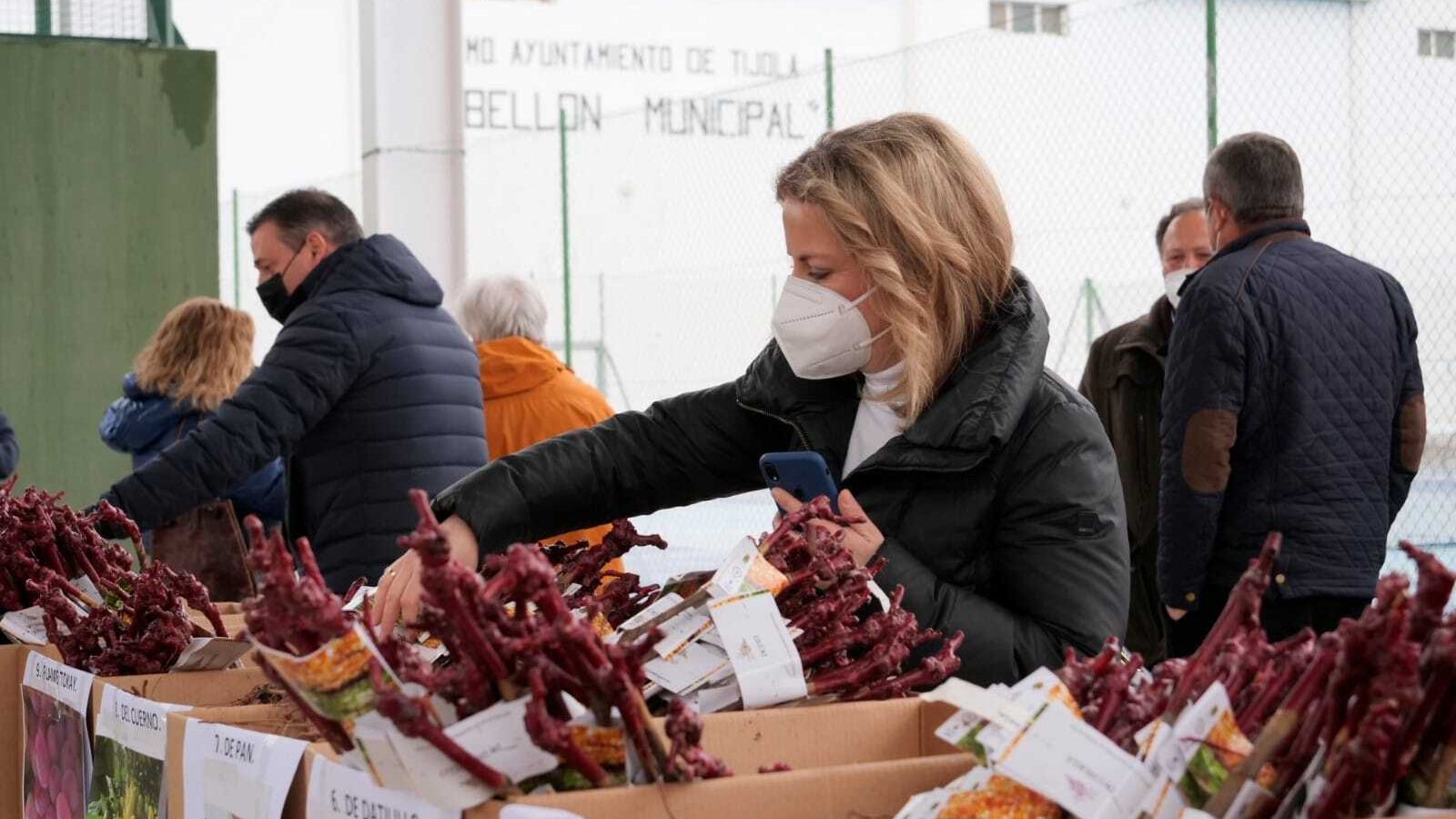 Dos décadas de esta tradición que ha llevado parras a todos los rincones de la geografía provincial