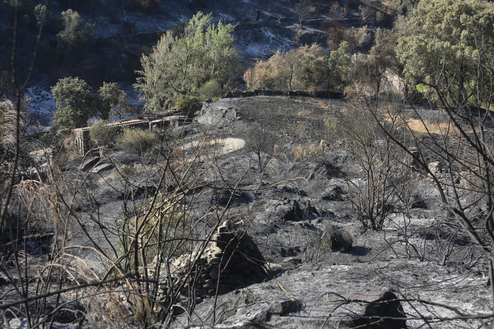 Imágenes del área afectada por el fuego del segundo día en el incendio de Almonaster