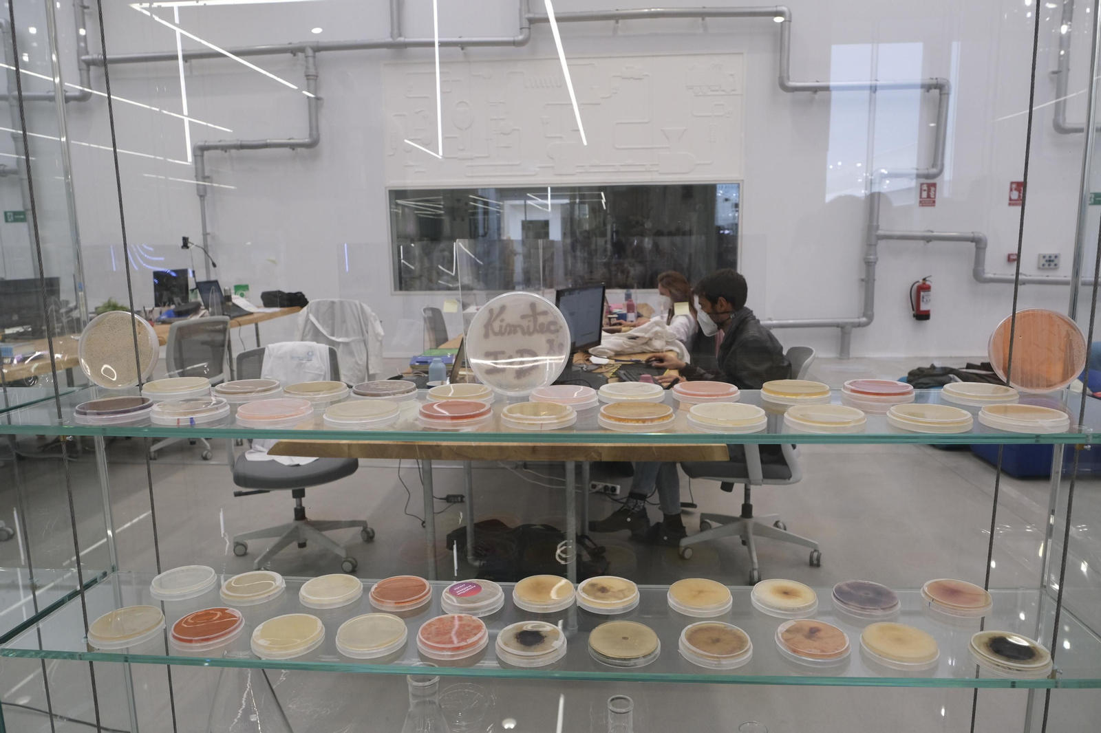 Fotogalería Kimitec-Primafor