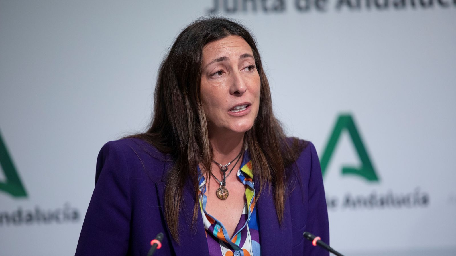 La consejera de Inclusión Social, Loles López.