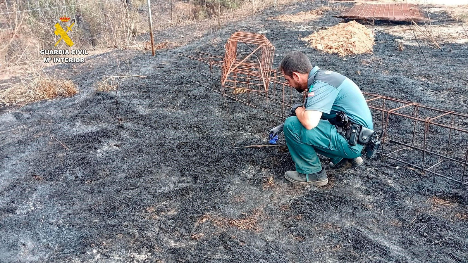 Un agente del Seprona investiga las causas de un incendio forestal