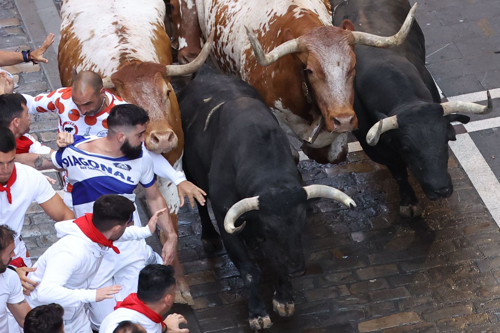 Las imágenes del encierro de los toros de Cebada Gago