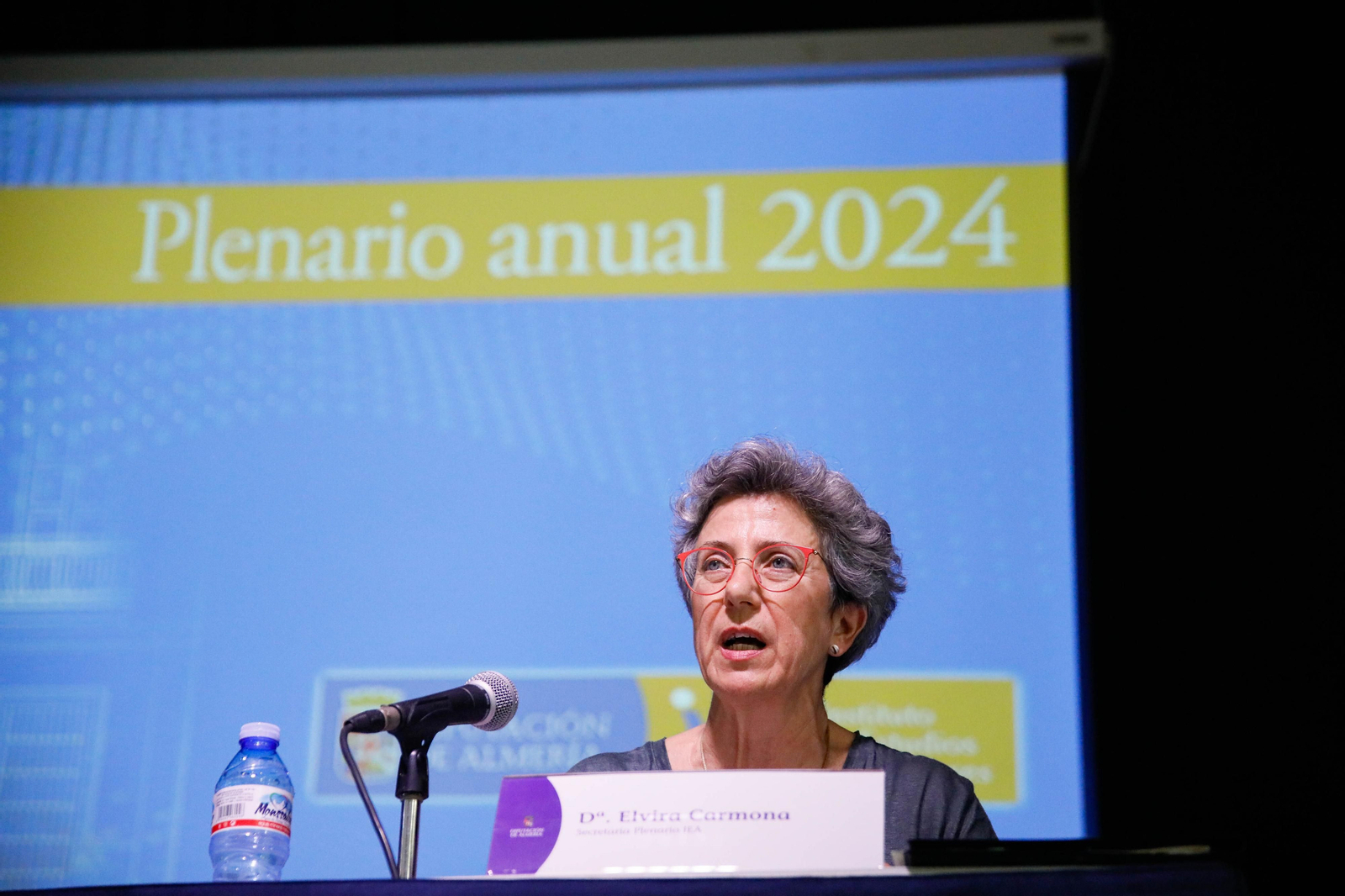 Imágenes de la entrega de los Escudos de Oro del IEA y la celebración de su Plenario