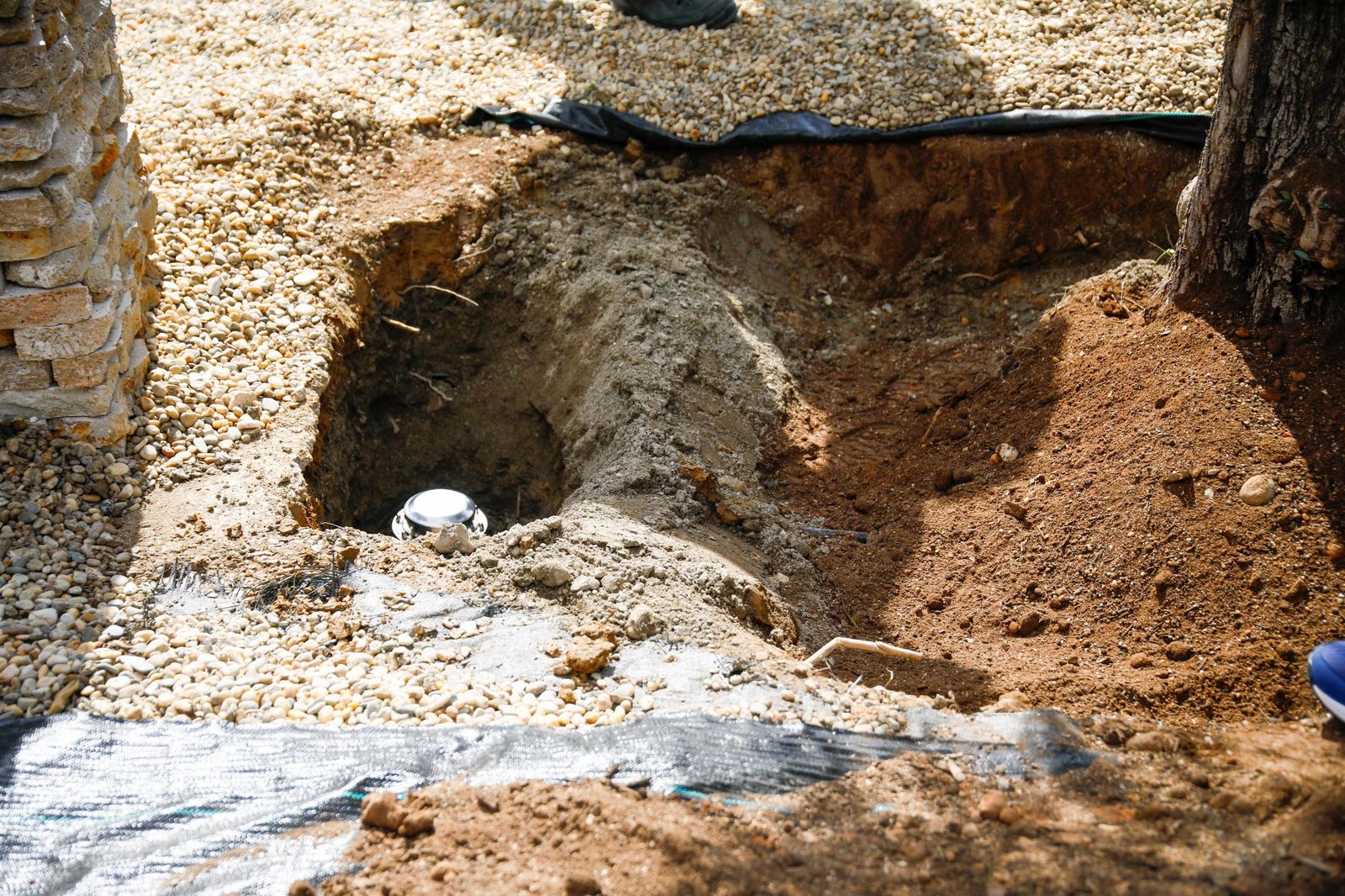 Las imágenes de la plantación de un olivo y el entierro de una cápsula del tiempo