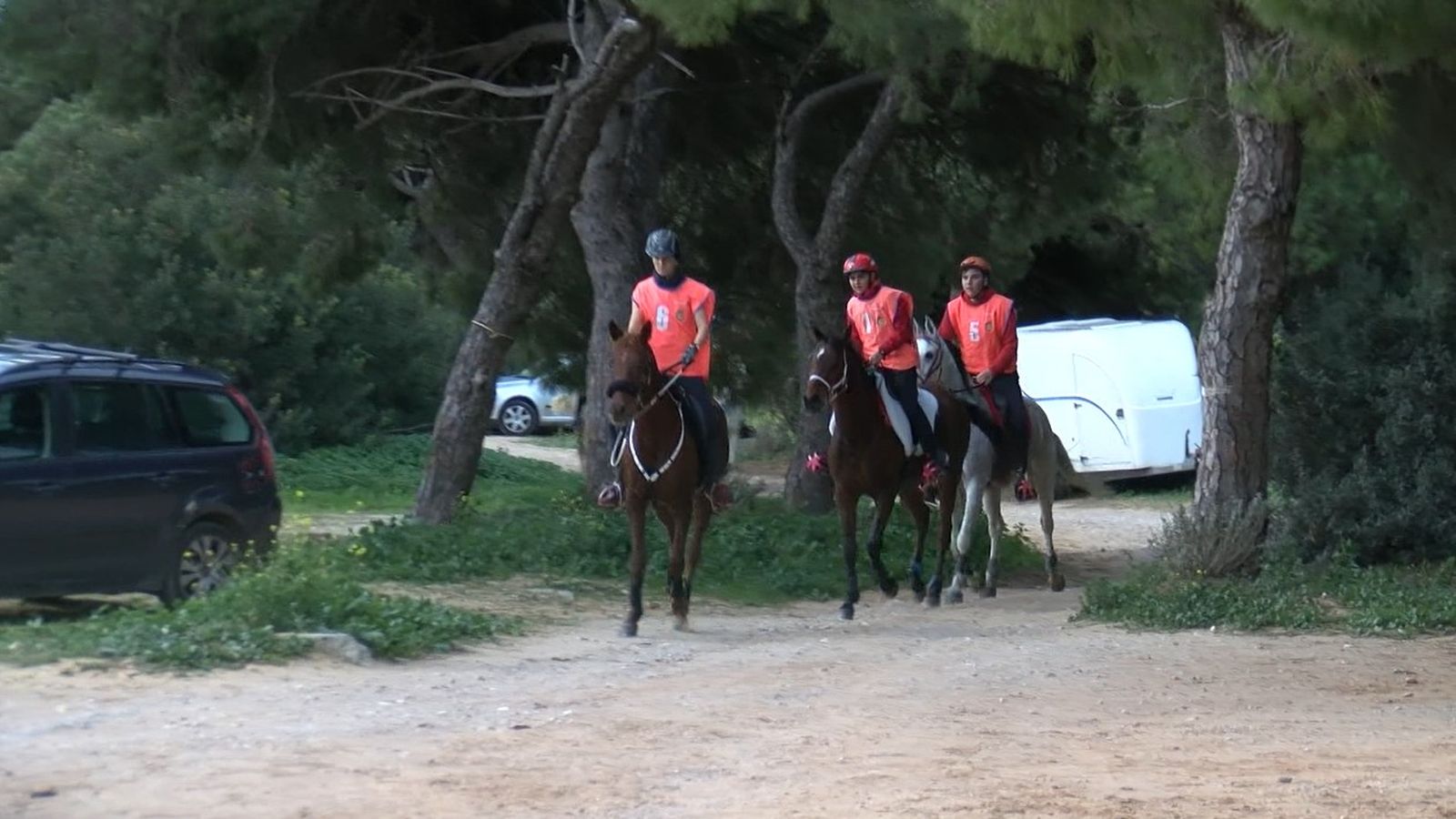 Un momento del Raid Hípico de Las Cañadas celebrado el pasado año