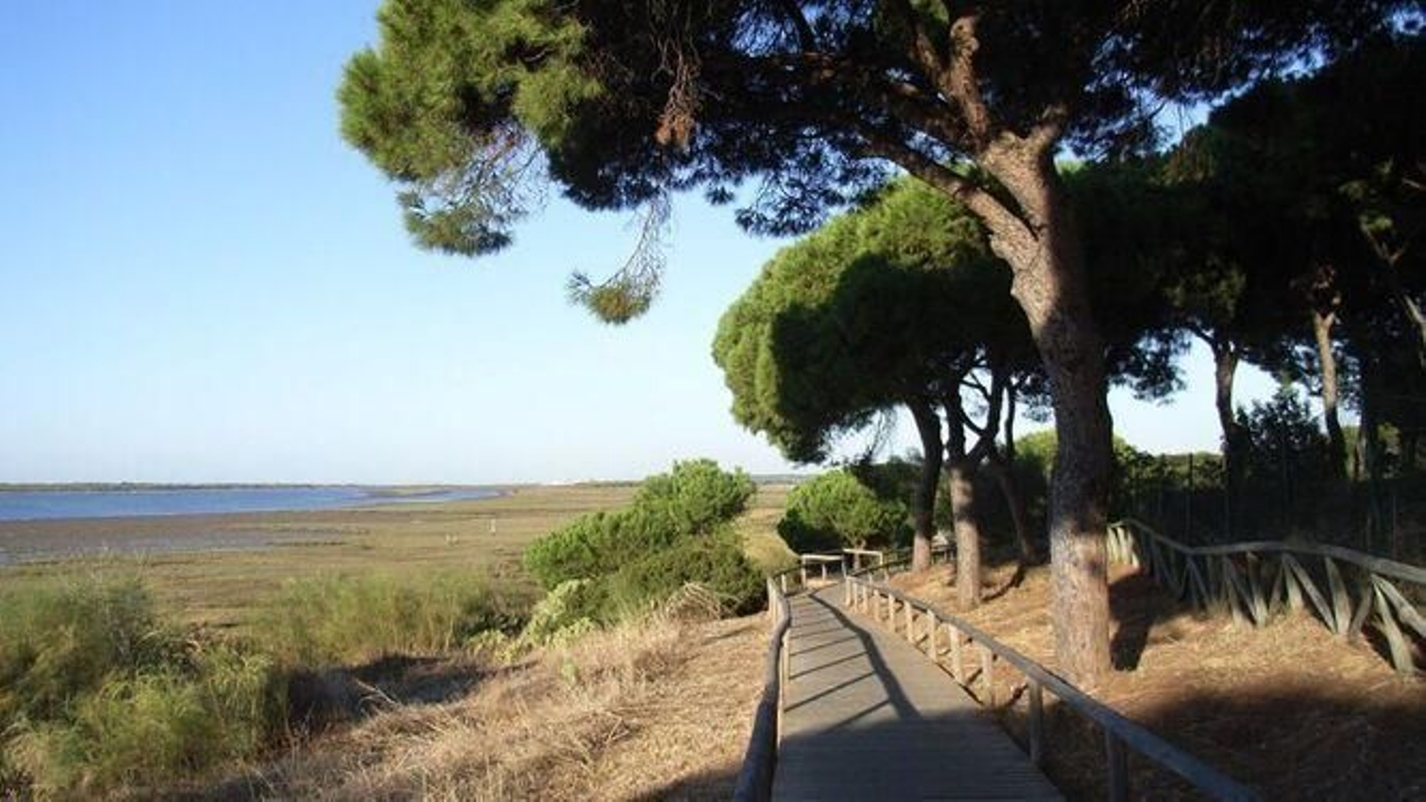 Las Marismas del Río Piedras (Lepe/Cartaya)