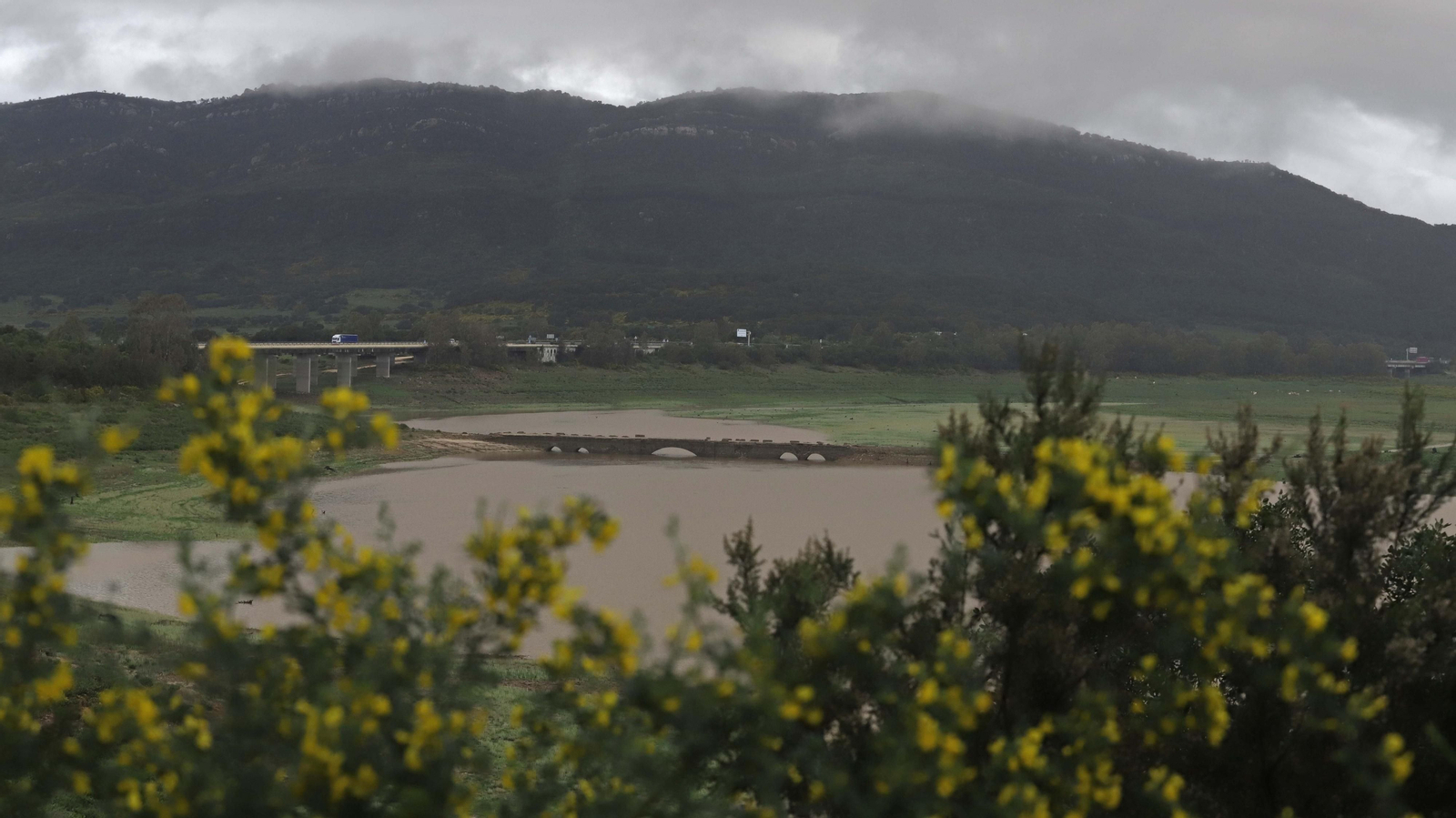 Fotos del pantano de Charco Redondo