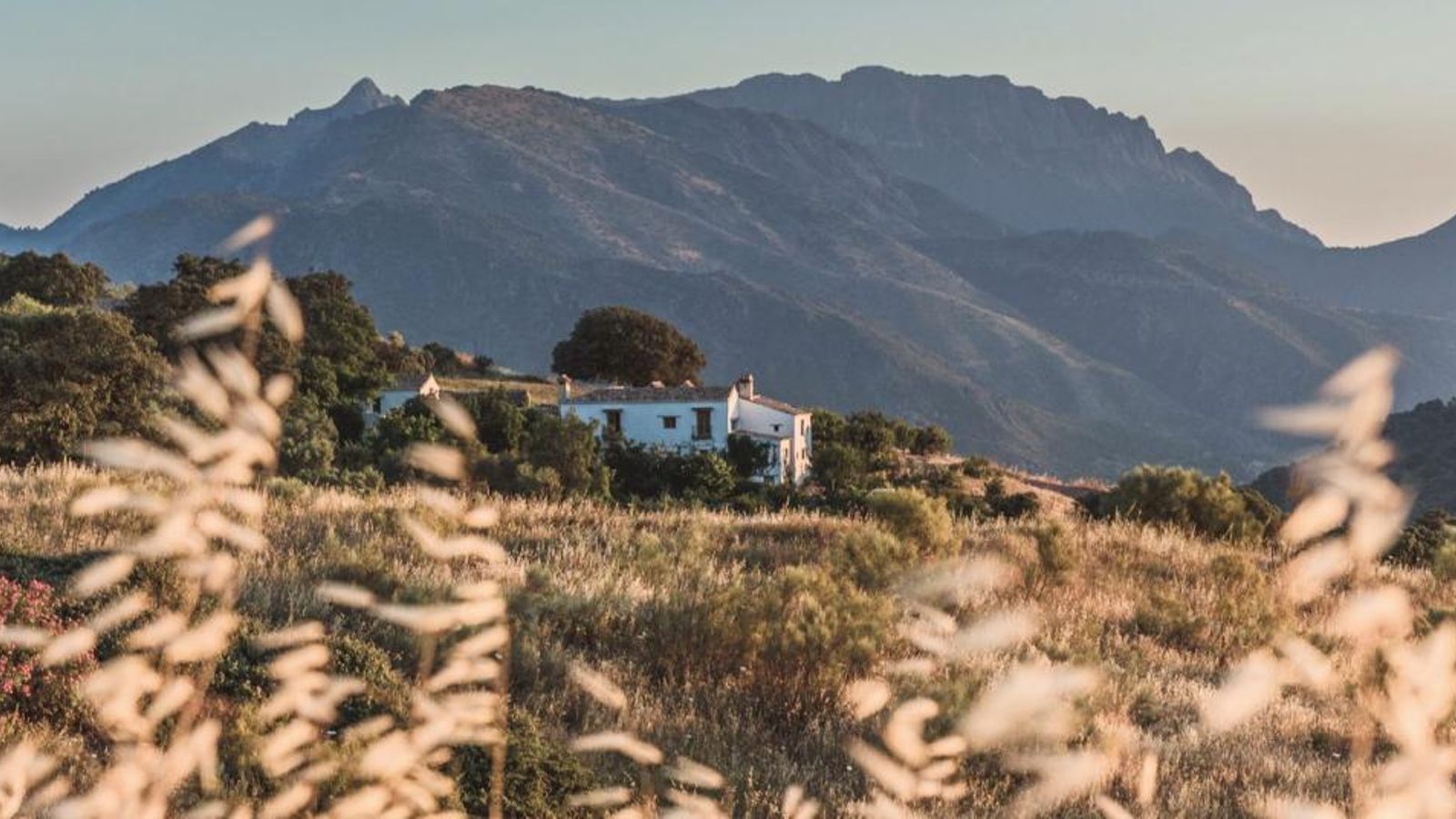La Finca La Donaira.