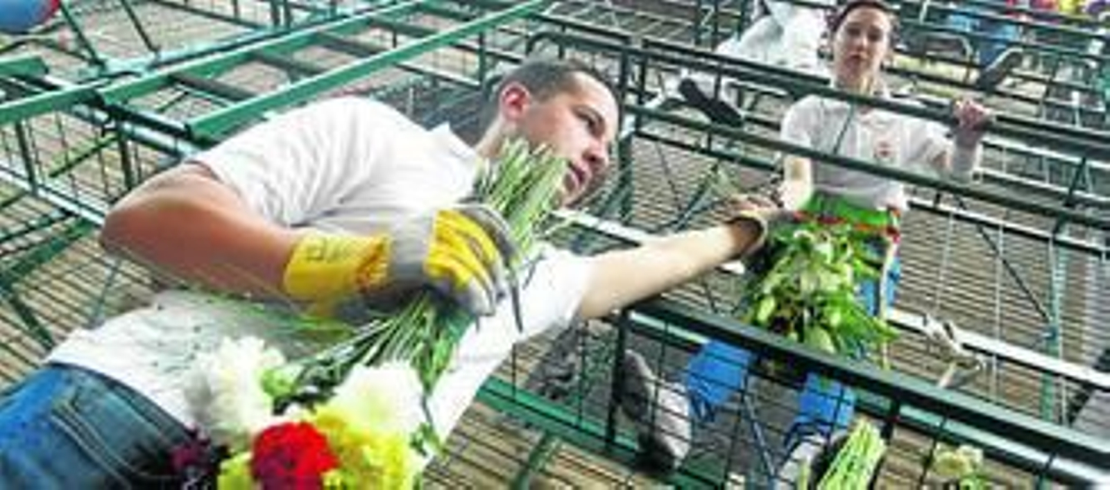 Pétalos de fervor a la Patrona