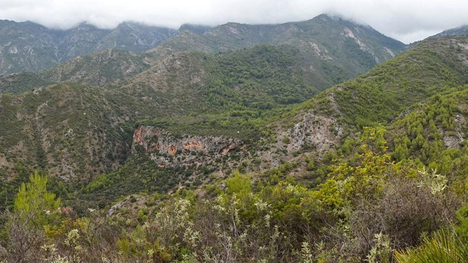 Cumbres borrascosas versión marbellera. Cumbres borrascosas versión marbellera.