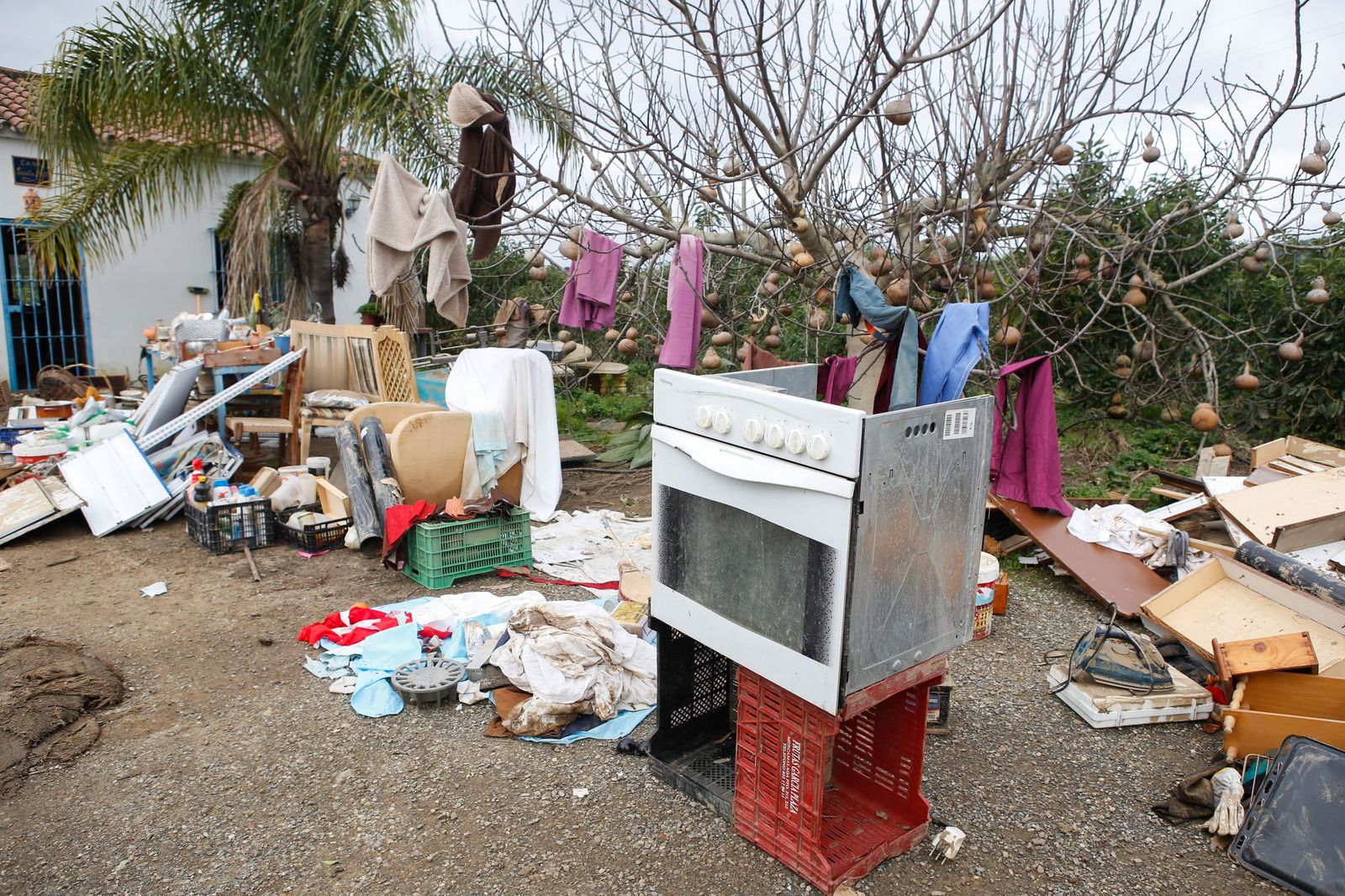 Fotos de las consecuencias de la borrasca Francis en Tesorillo y Jimena